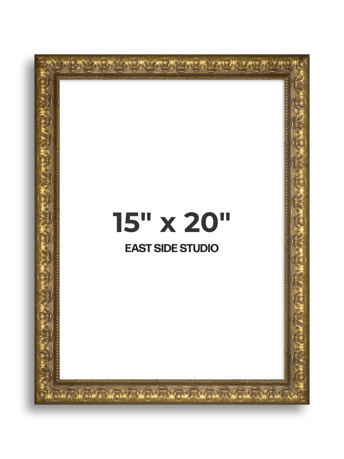 Plume Gold 15" x 20" picture frame