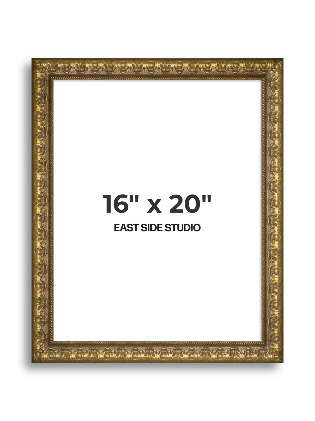Plume Gold 16" x 20" picture frame