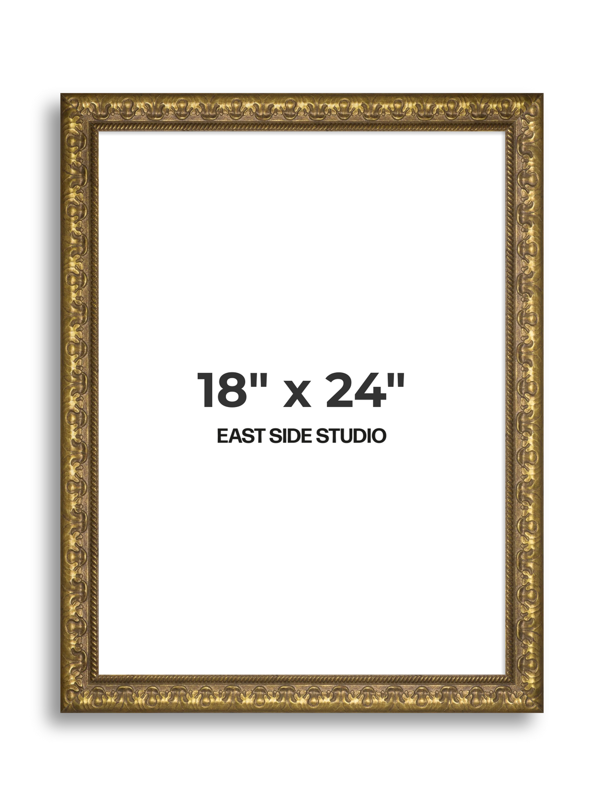 Plume Gold 18" x 24" picture frame