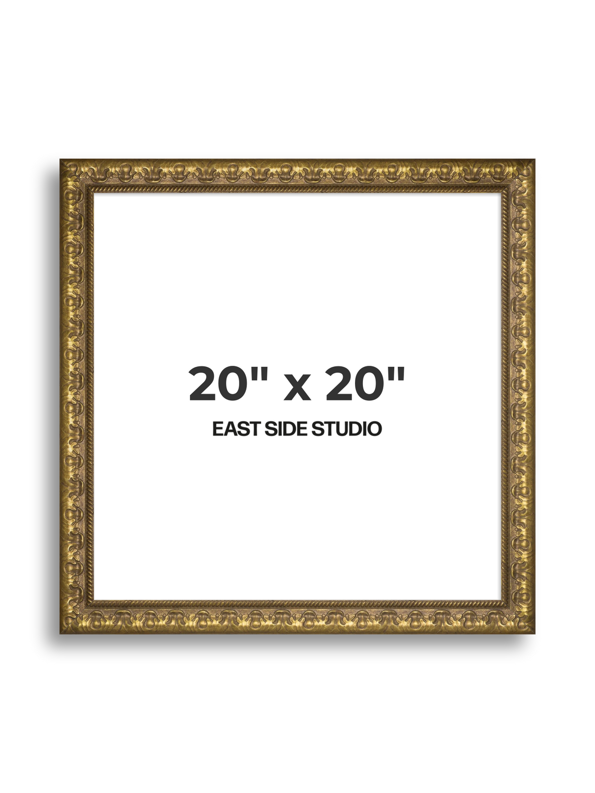 Plume Gold 20" x 20" picture frame