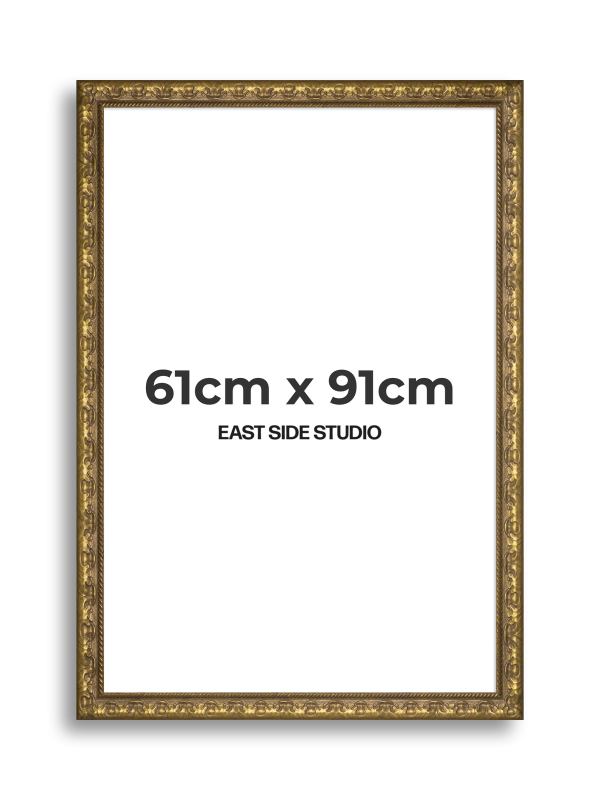 Plume Gold 61cm x 91cm picture frame