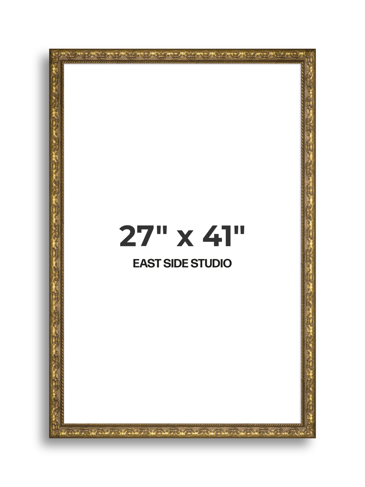 Plume Gold 27" x 41" picture frame
