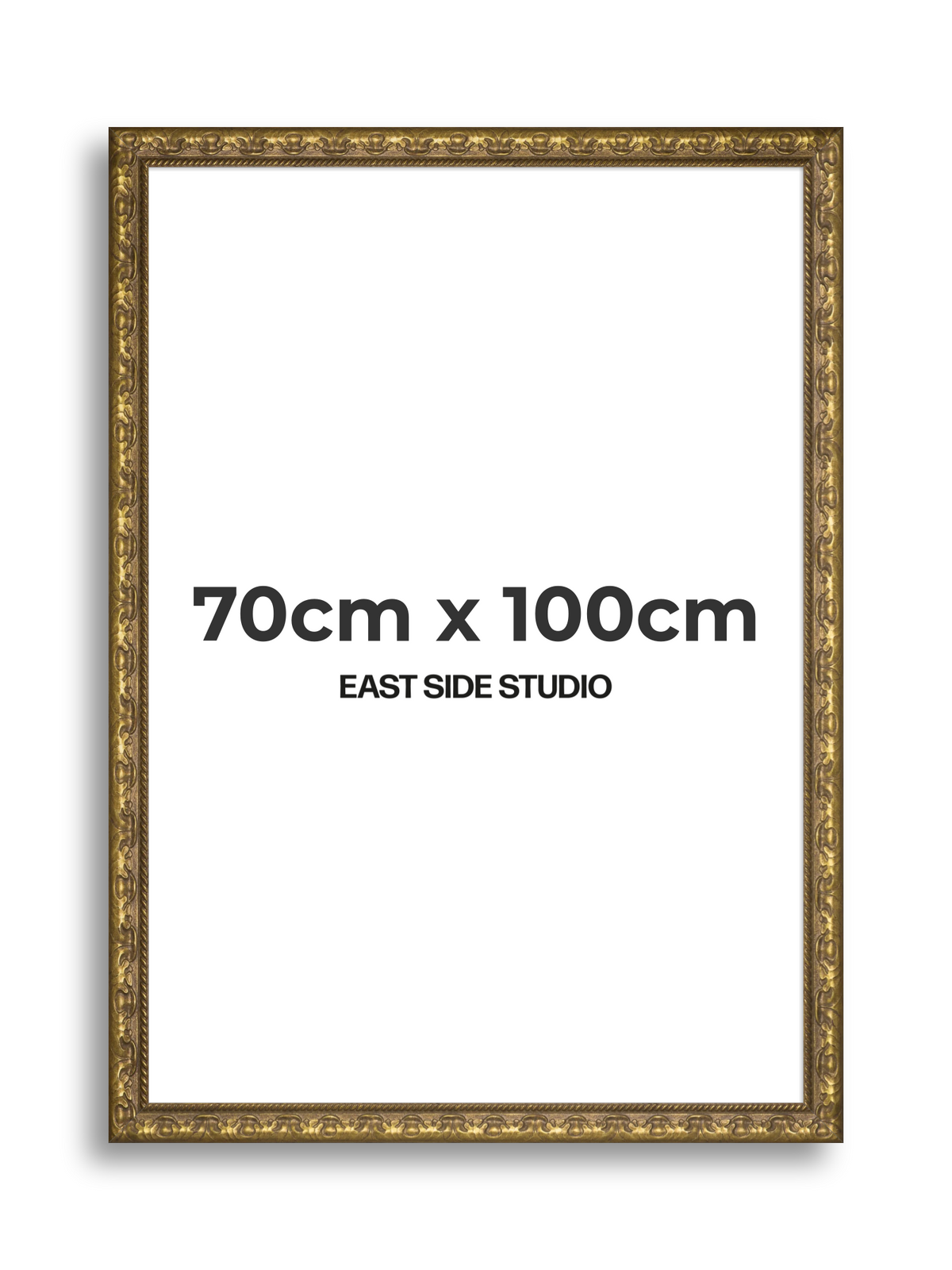 Plume Gold 70cm x 100cm picture frame