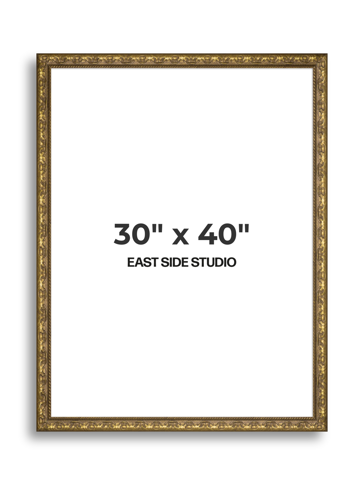 Plume Gold 30" x 40" picture frame