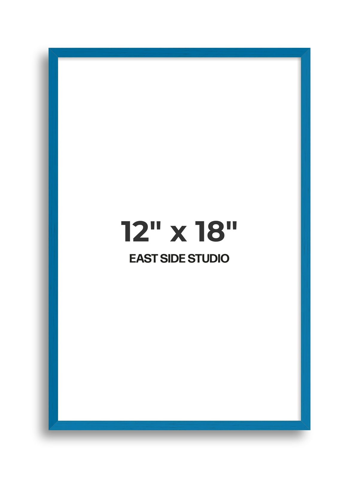 Duo Tone 12" x 18" picture frame