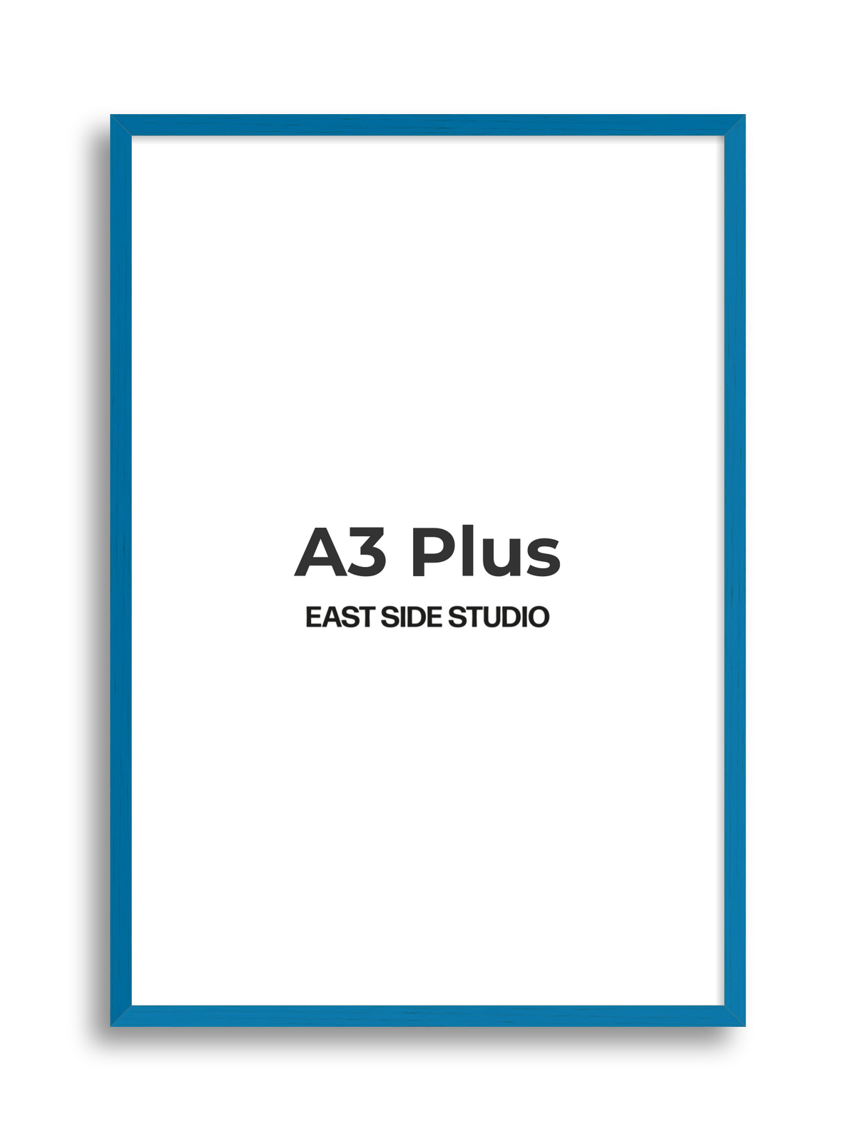 Duo Tone A3 Plus picture frame