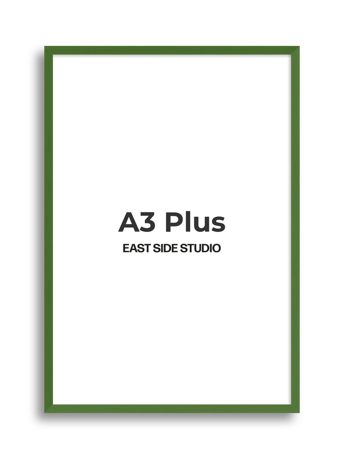 Duo Tone A3 Plus picture frame
