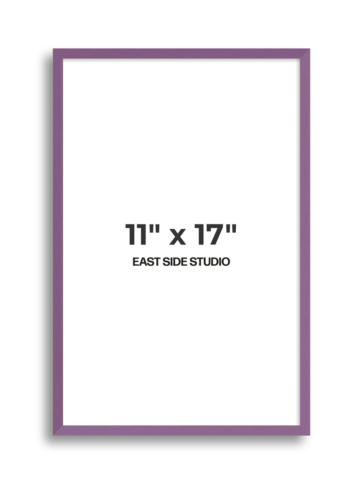 Duo Tone 11" x 17" picture frame