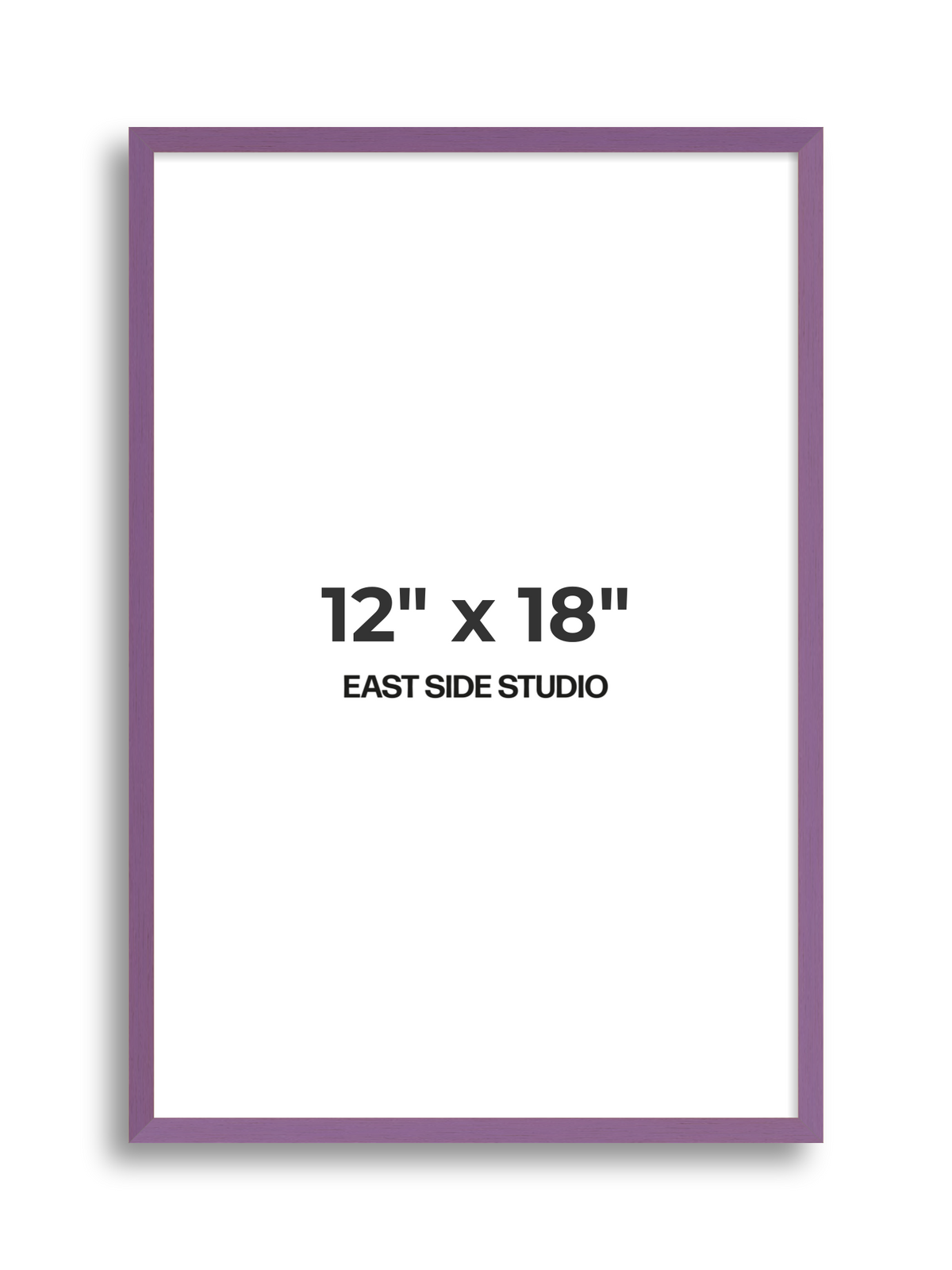 Duo Tone 12" x 18" picture frame