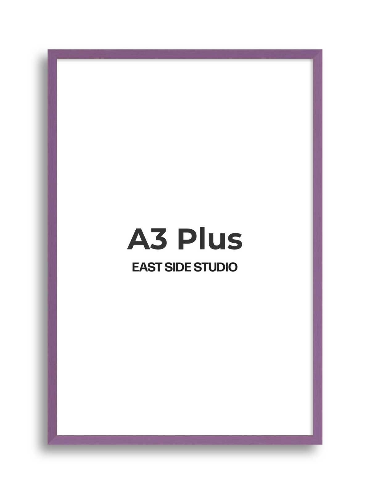 Duo Tone A3 Plus picture frame