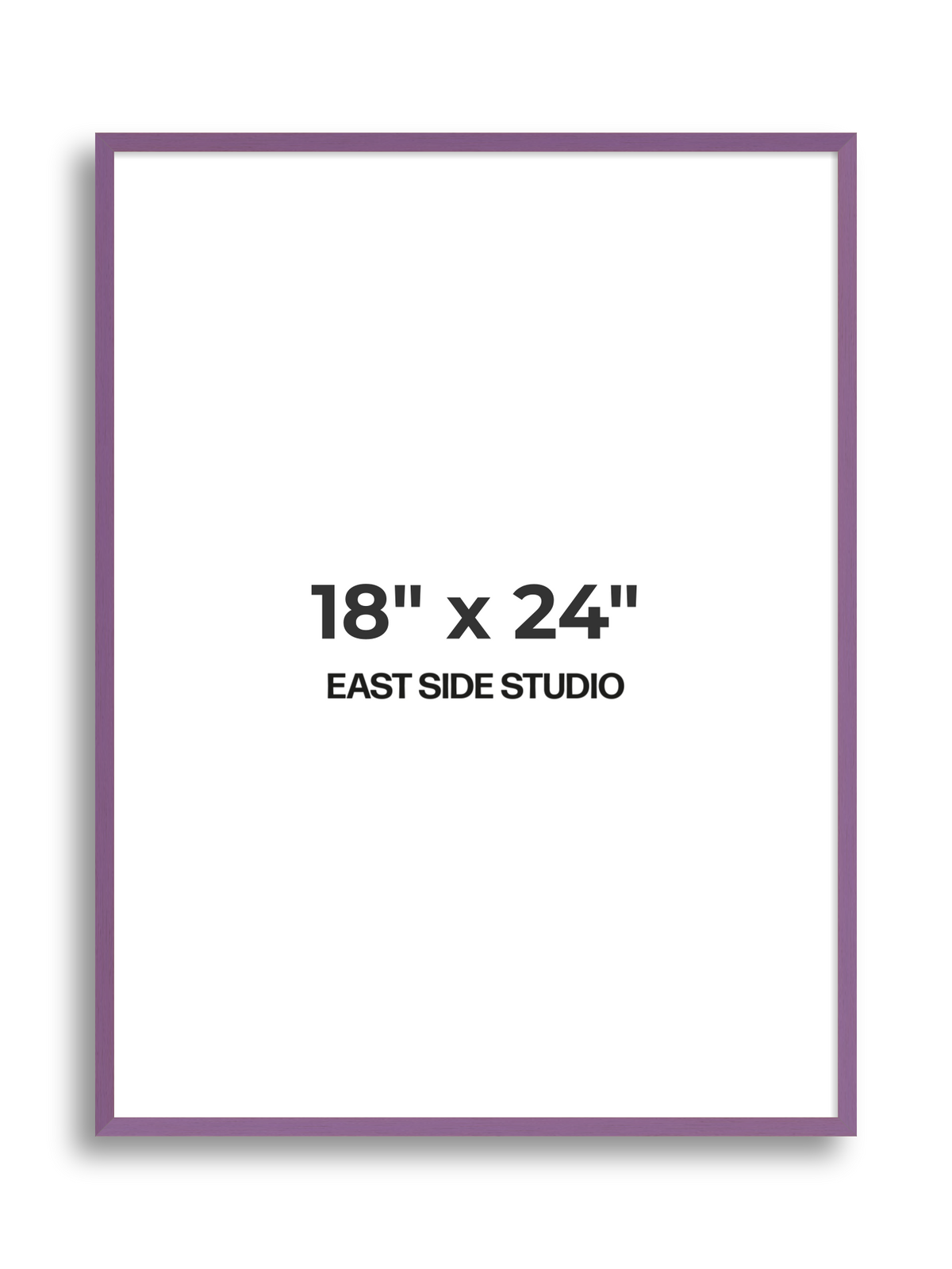 Duo Tone 18" x 24" picture frame