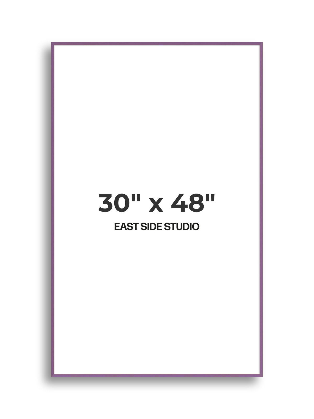 Duo Tone 30" x 48" picture frame