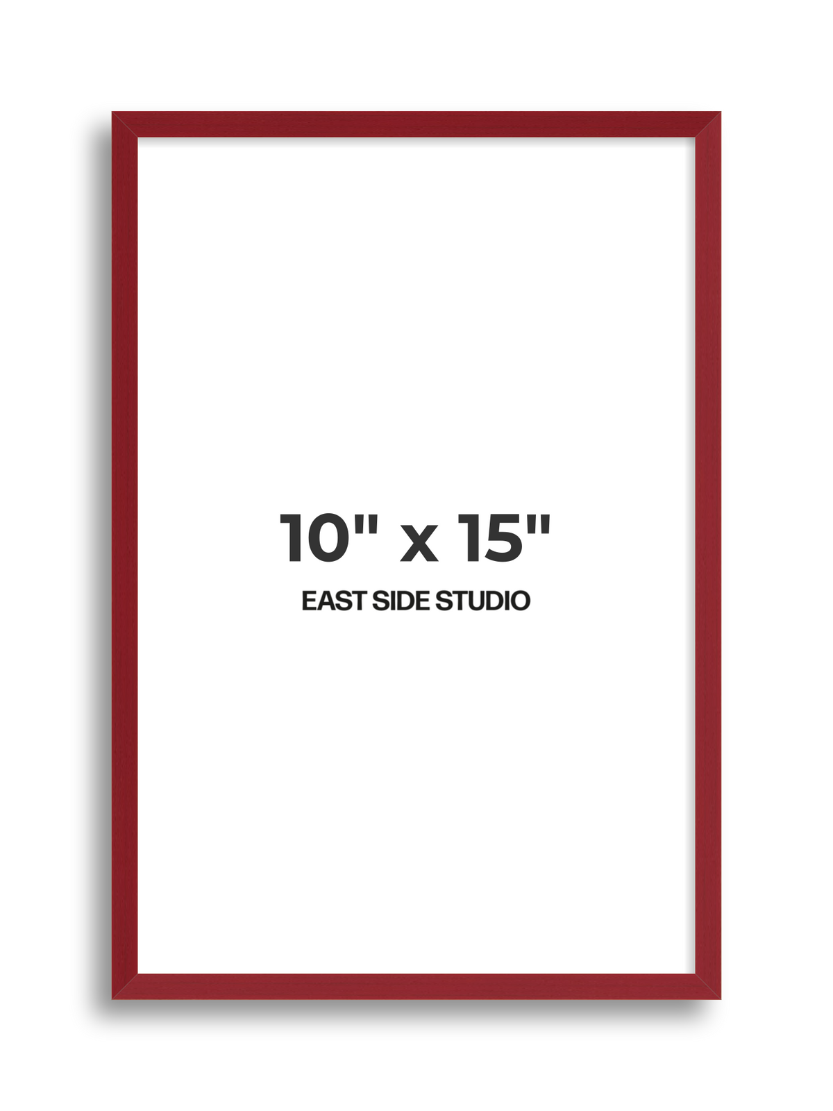 Duo Tone 10" x 15" picture frame