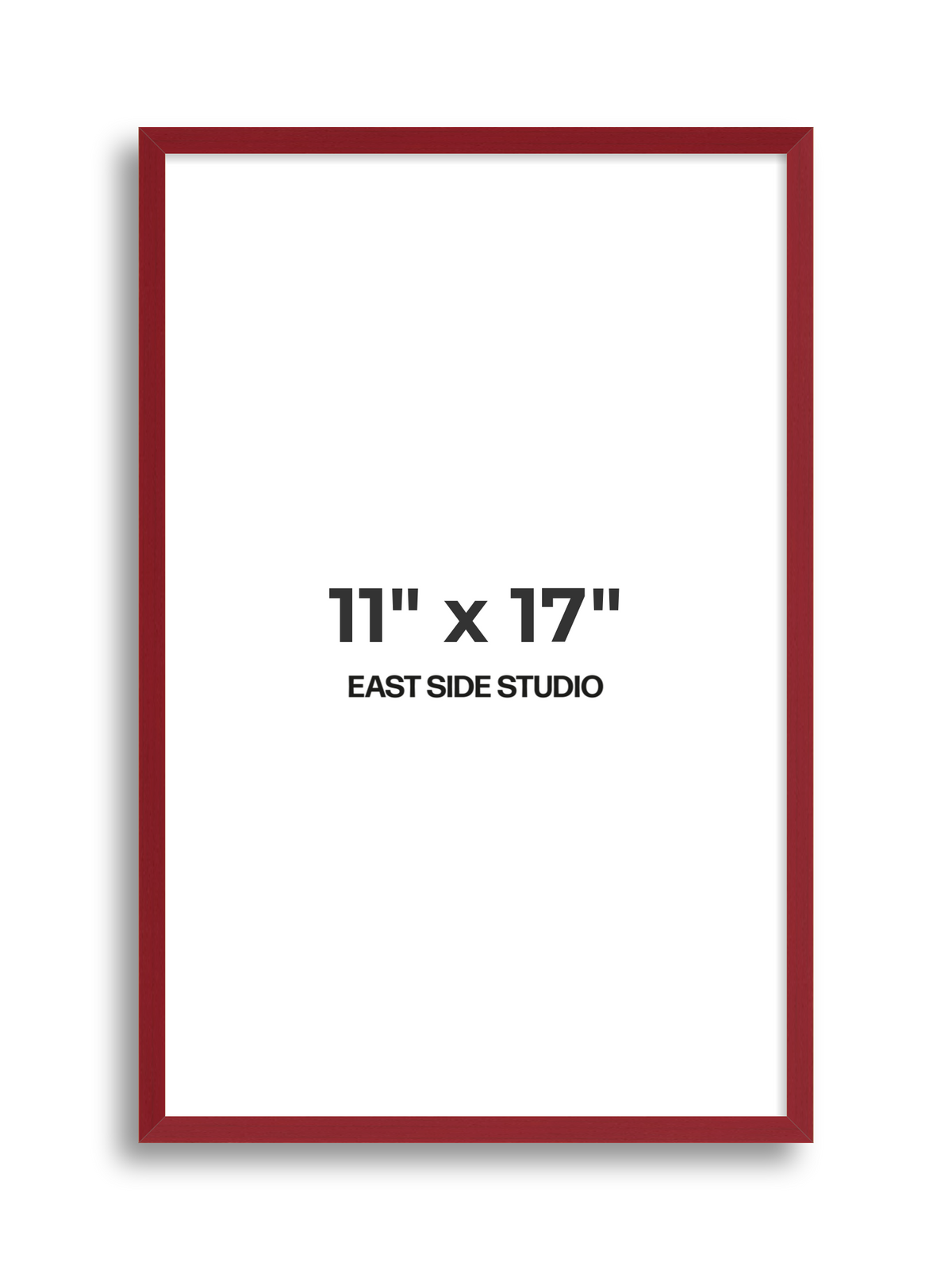 Duo Tone 11" x 17" picture frame