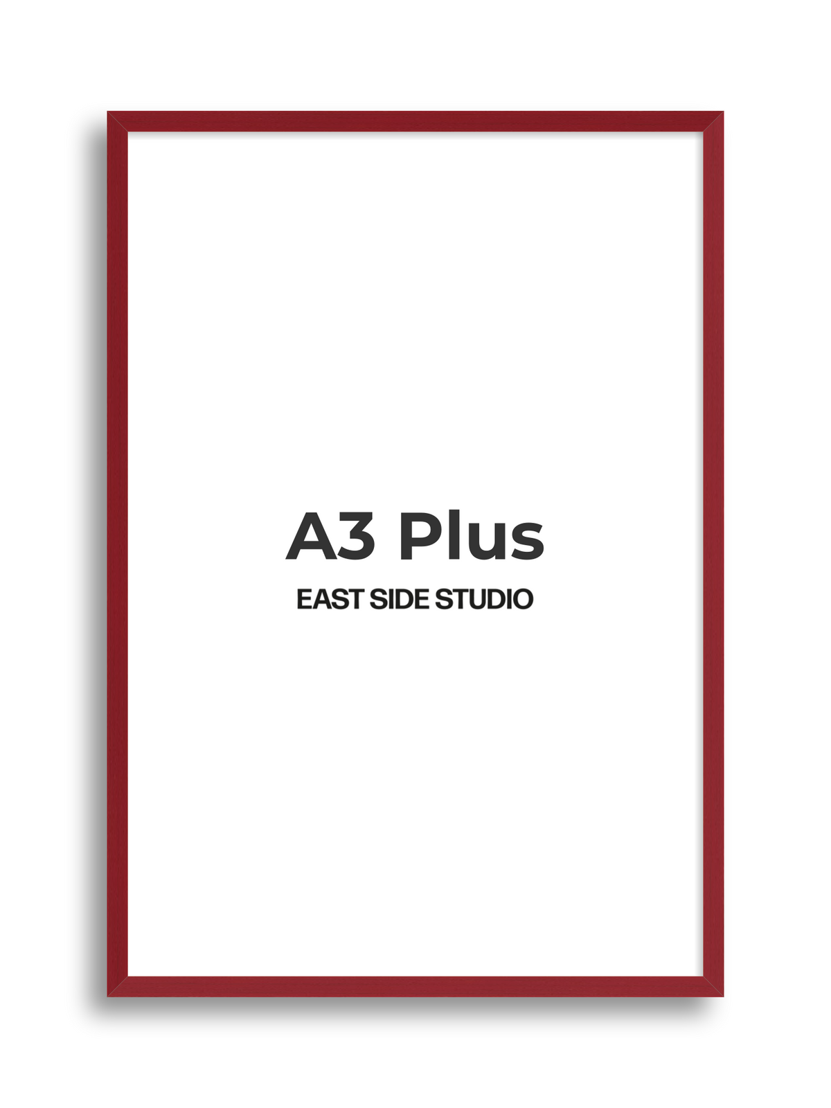 Duo Tone A3 Plus picture frame