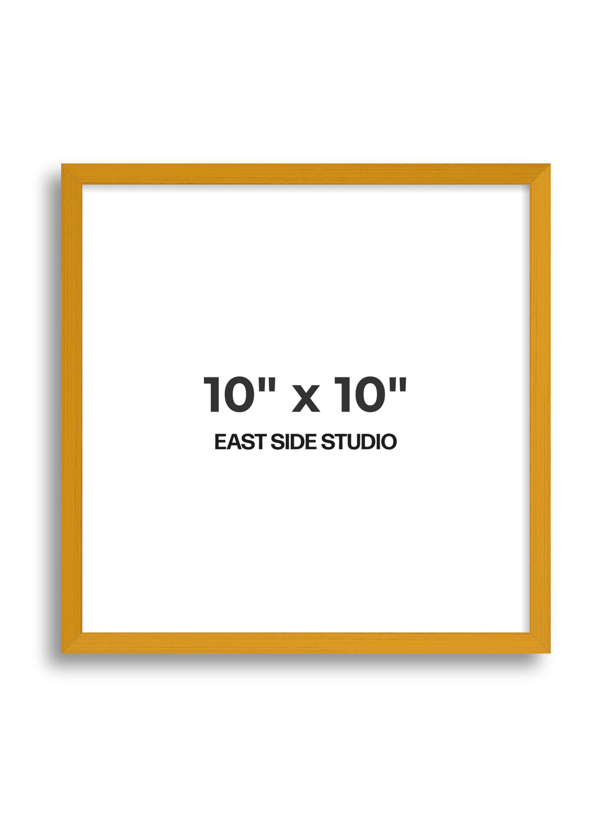 Duo Tone 10" x 10" picture frame