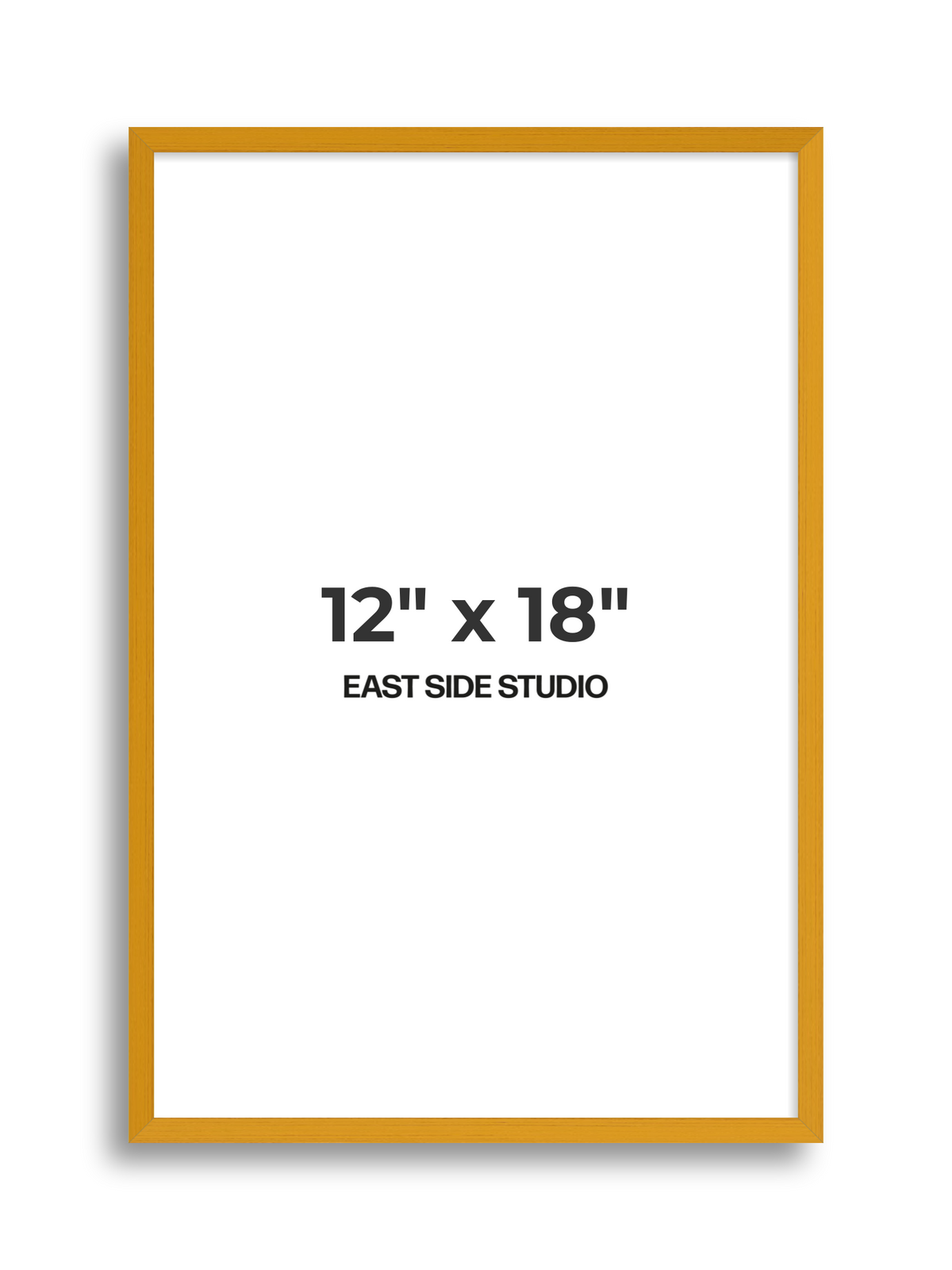 Duo Tone 12" x 18" picture frame