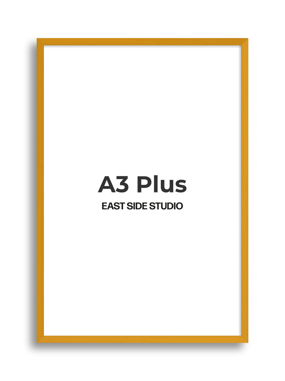 Duo Tone A3 Plus picture frame