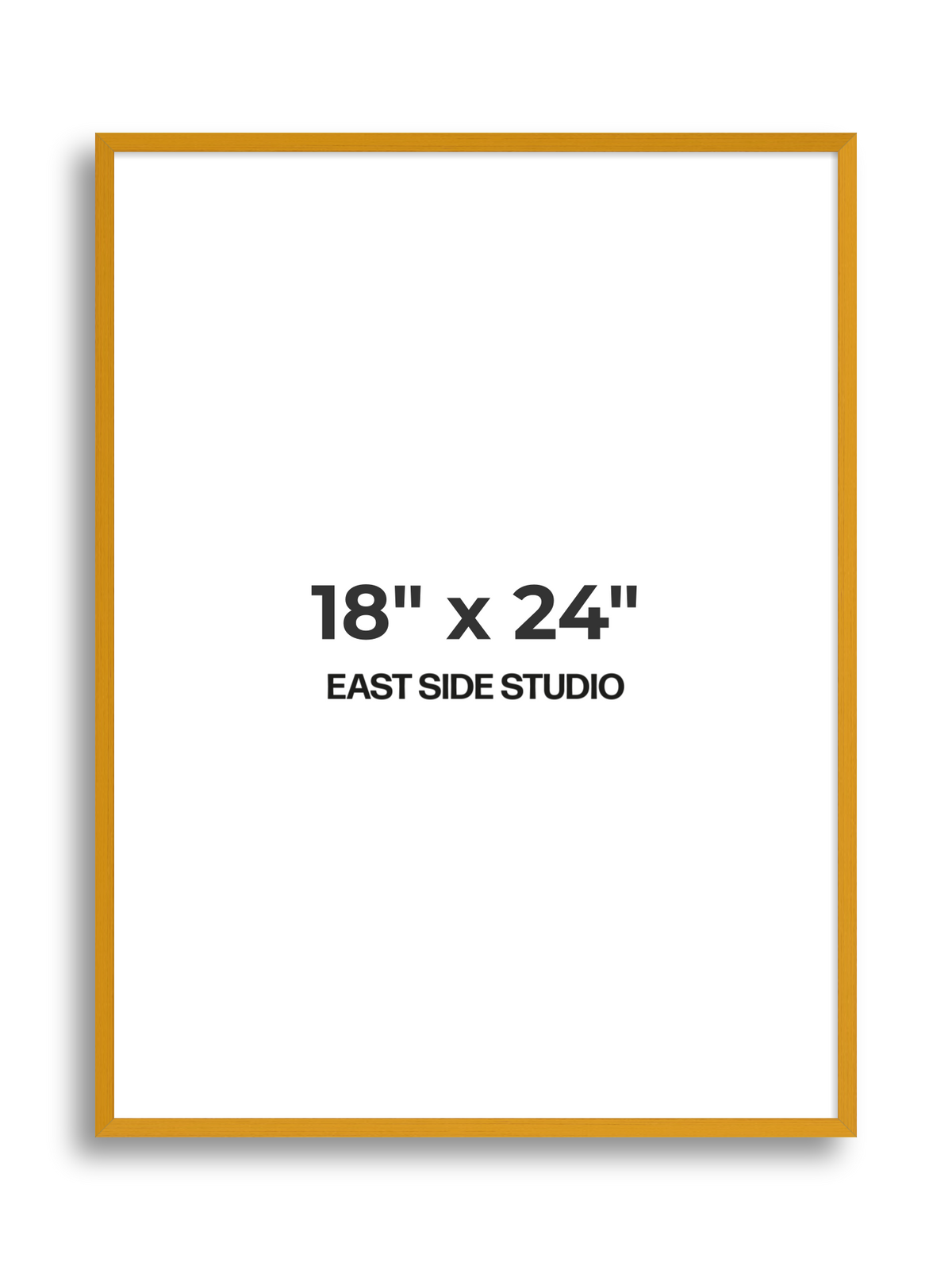 Duo Tone 18" x 24" picture frame