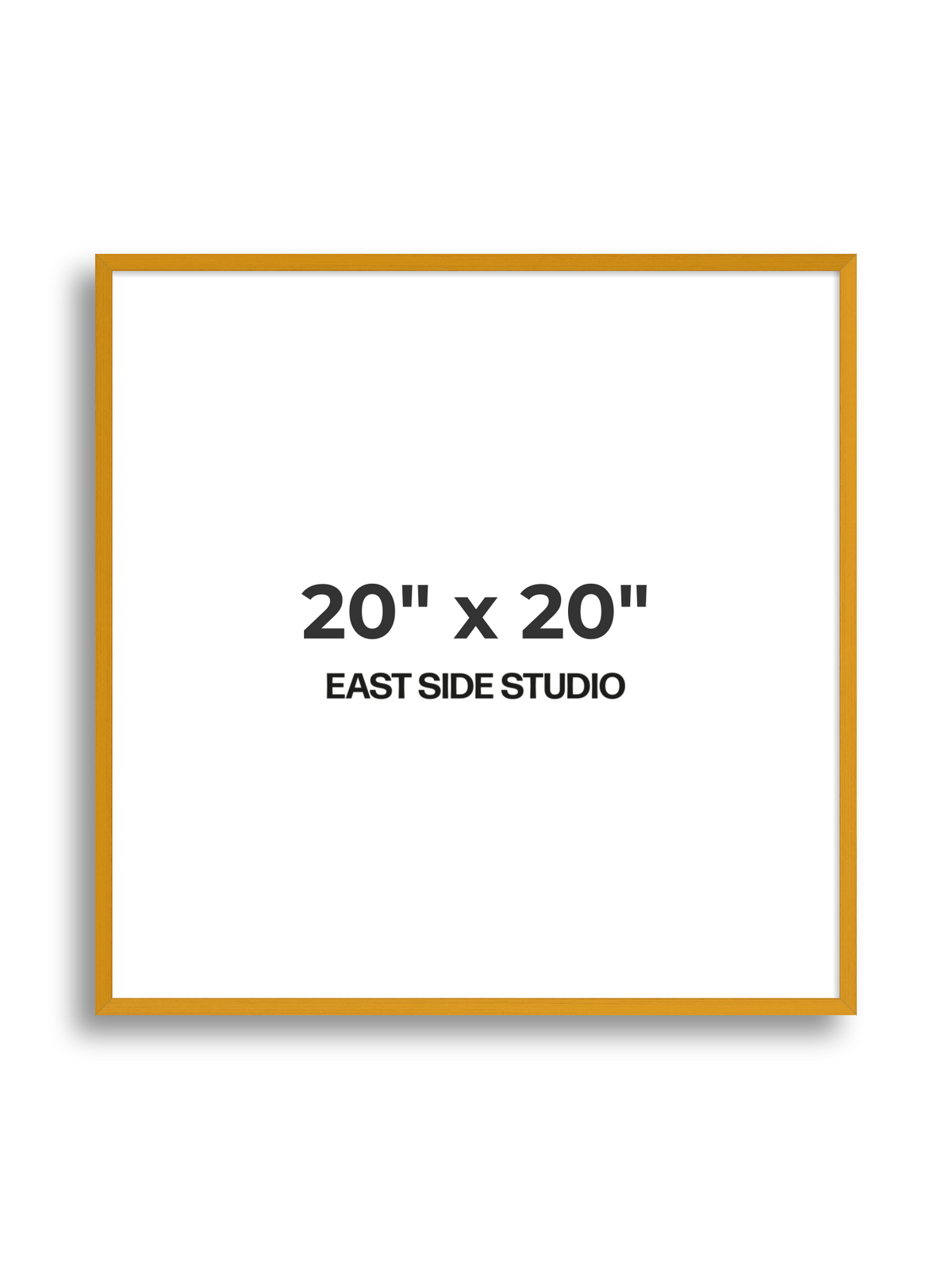 Duo Tone 20" x 20" picture frame