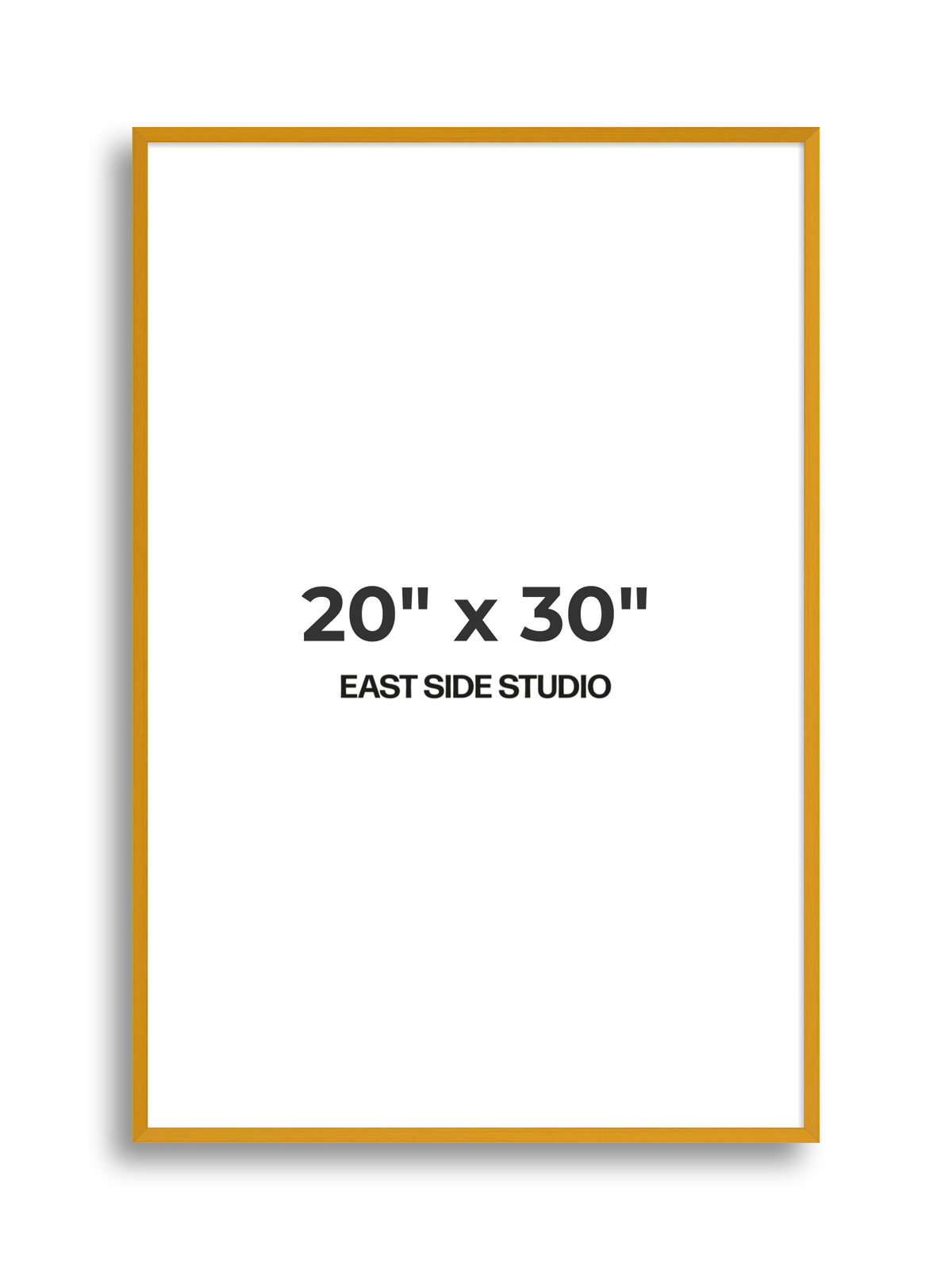 Duo Tone 20" x 30" picture frame