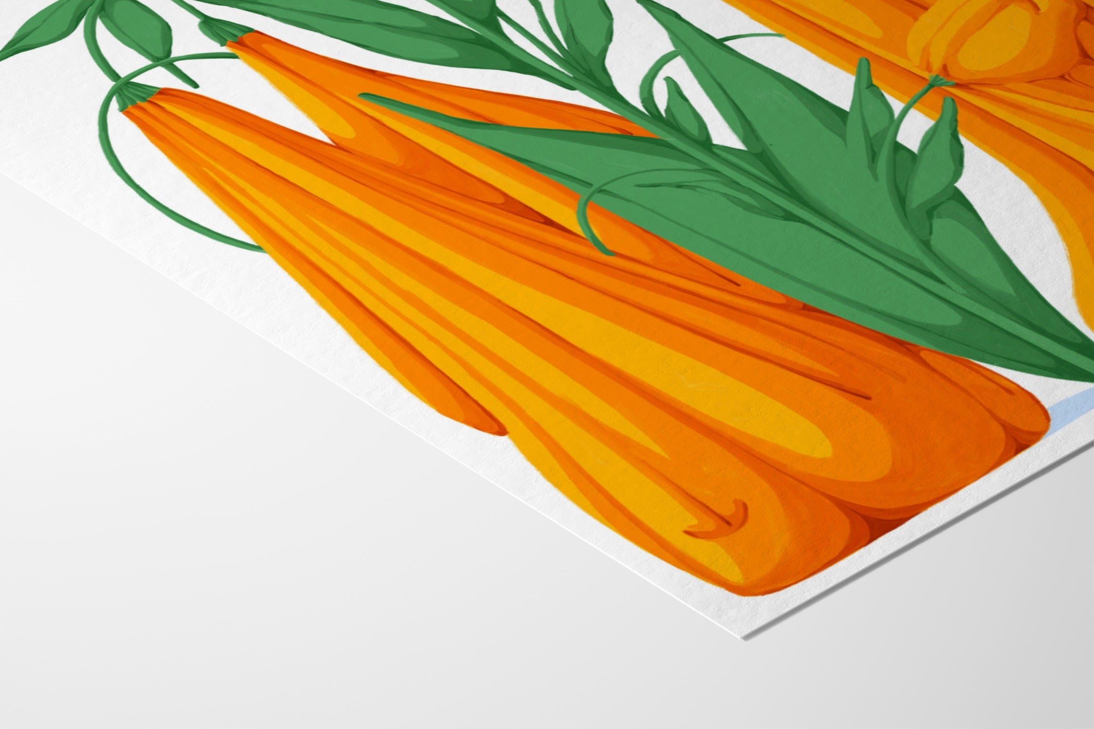 Melting Flower VII - Flo Meissner - Fine Art Paper 200gsm |frame=Fine Art Paper 200gsm|
