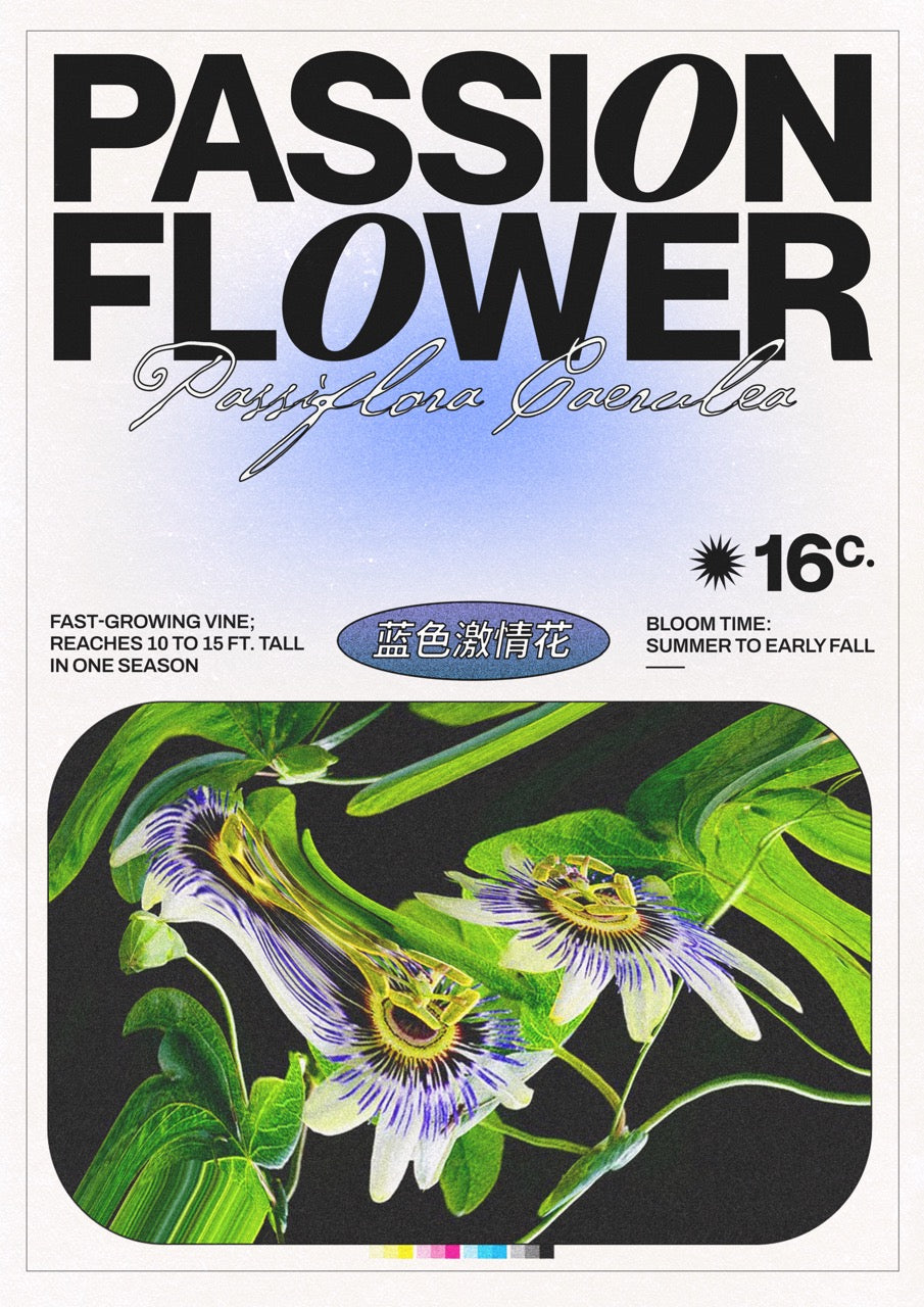 Passion Flower - Epi.to.me
