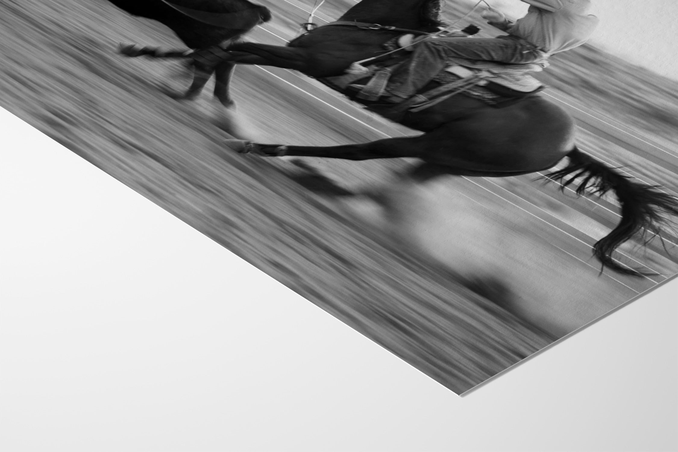 Roping - Michael Potter - Fine Art Paper 200gsm |frame=Fine Art Paper 200gsm|