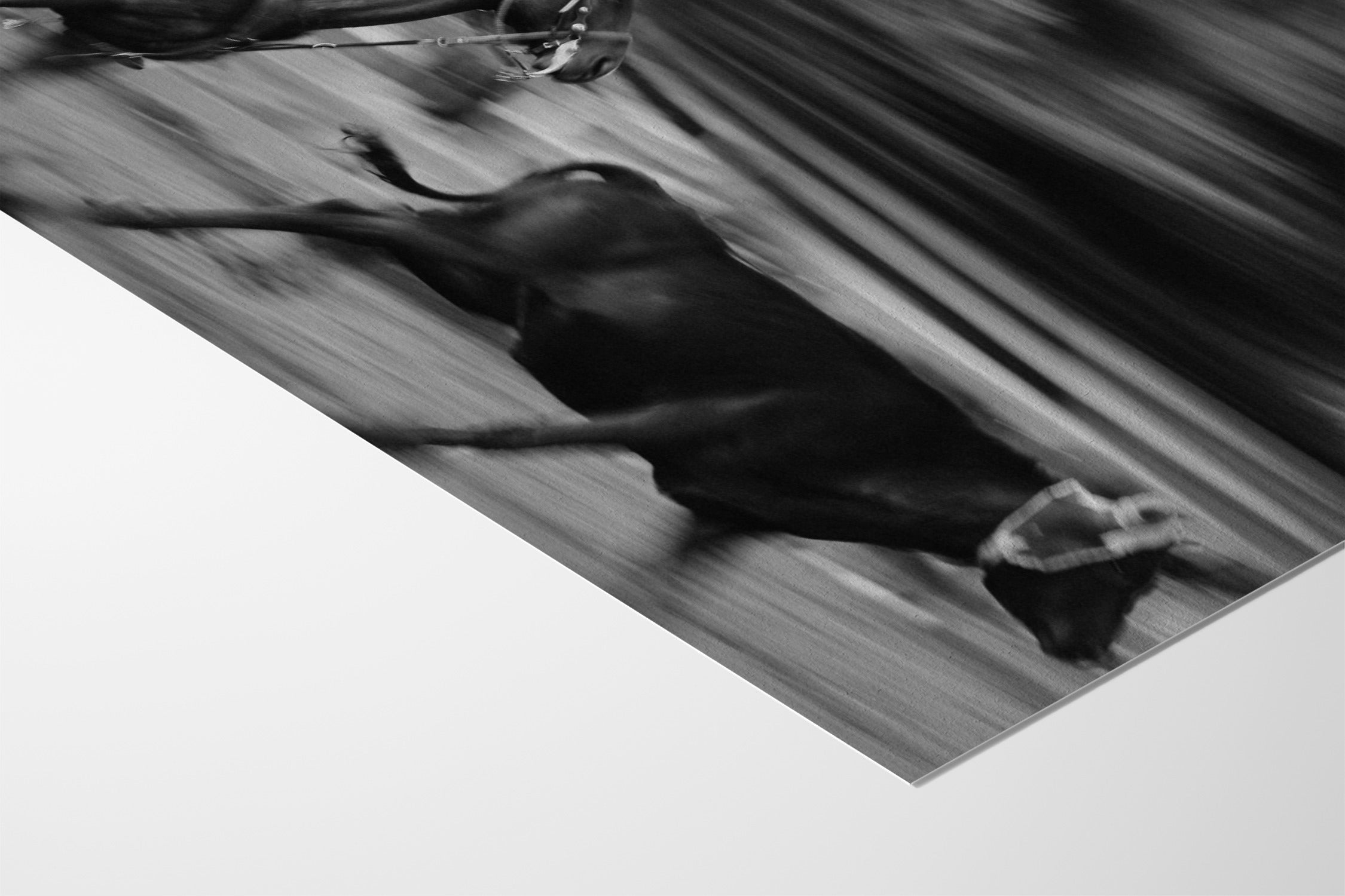 The Chase - Michael Potter - Hahnemuhle German Etching 310gsm |frame=Hahnemuhle German Etching 310gsm|