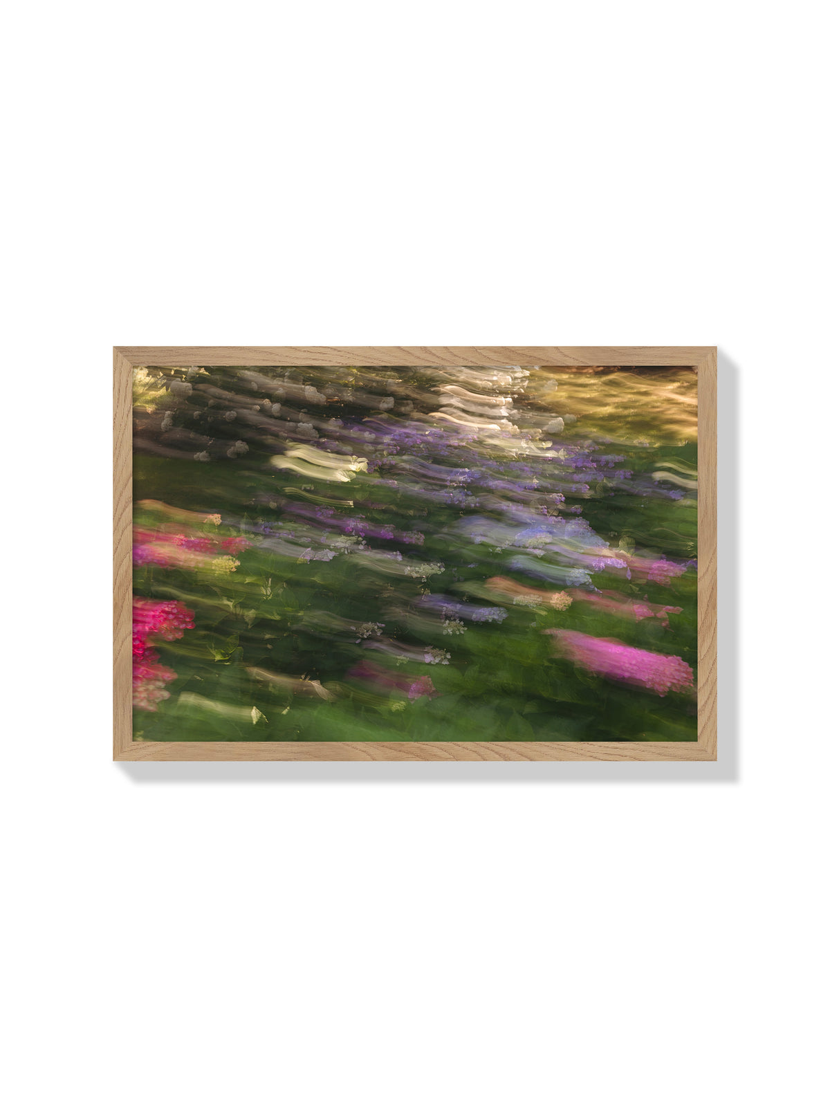 Impressions Of A Hydrangea Garden - Christina Bedetta Willett - Natural Frame |frame=Natural Frame|