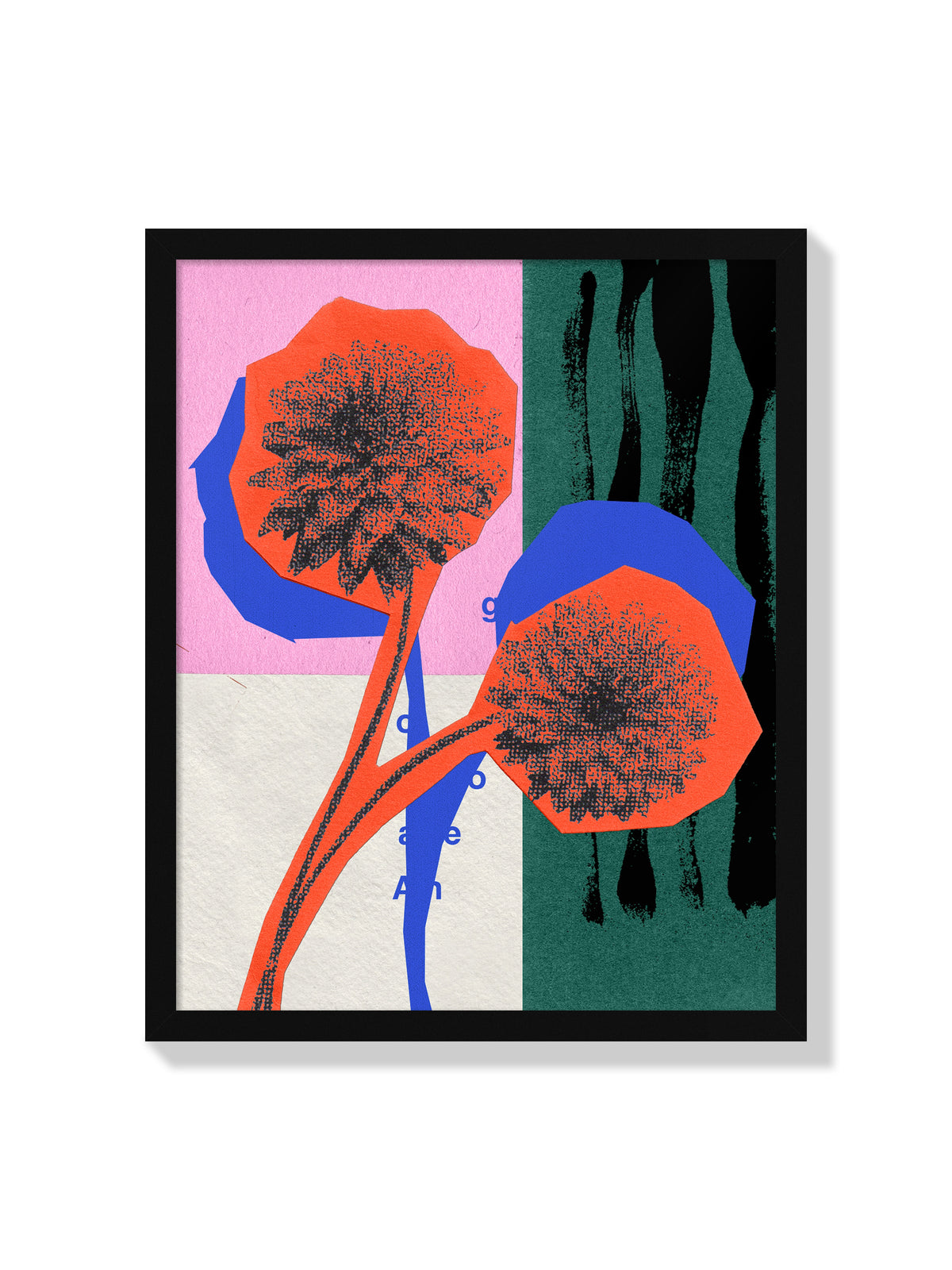 Dahlia Flower - Sian Roper - Black Frame |frame=Black Frame|