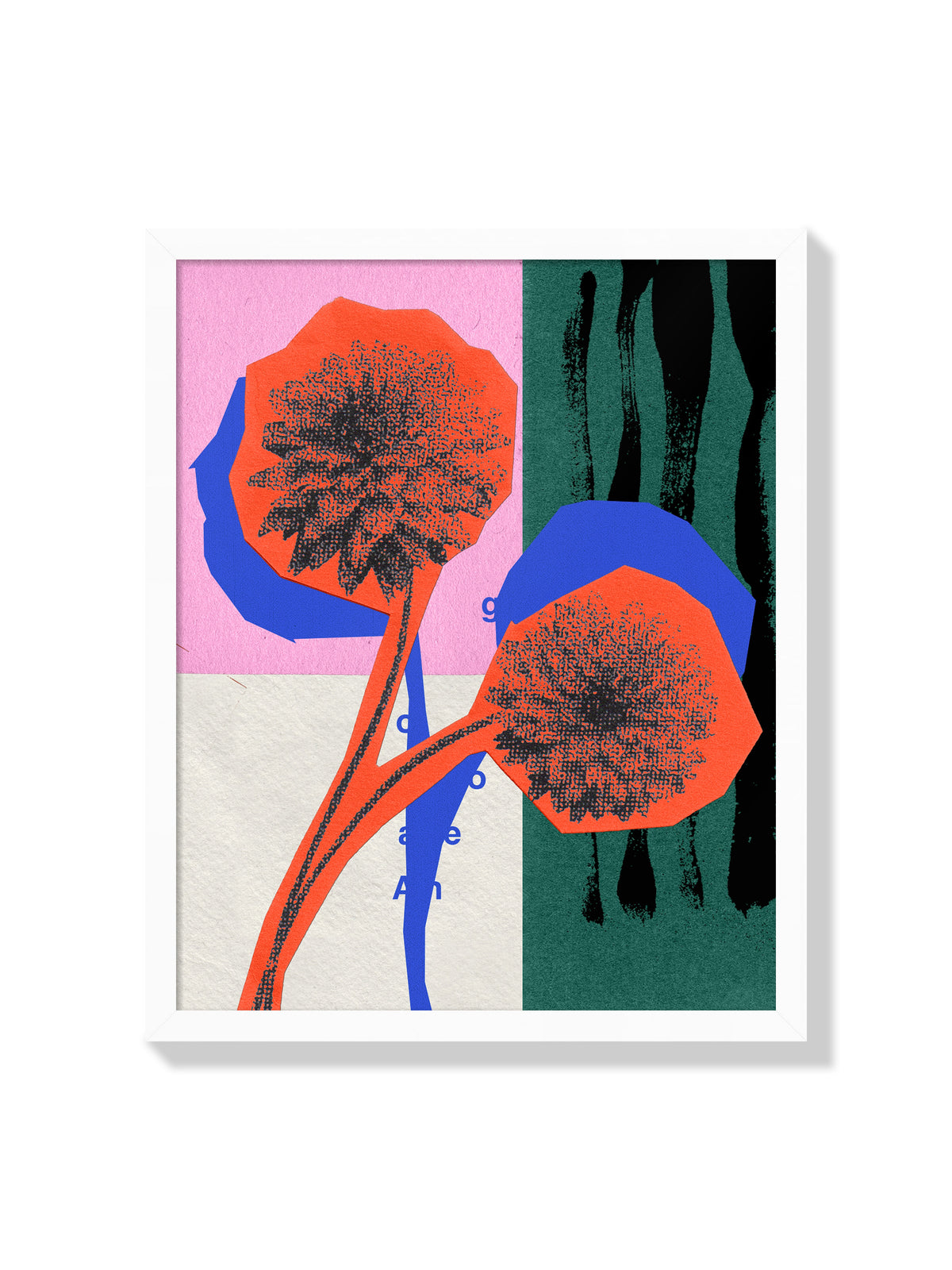 Dahlia Flower - Sian Roper - White Frame |frame=White Frame|