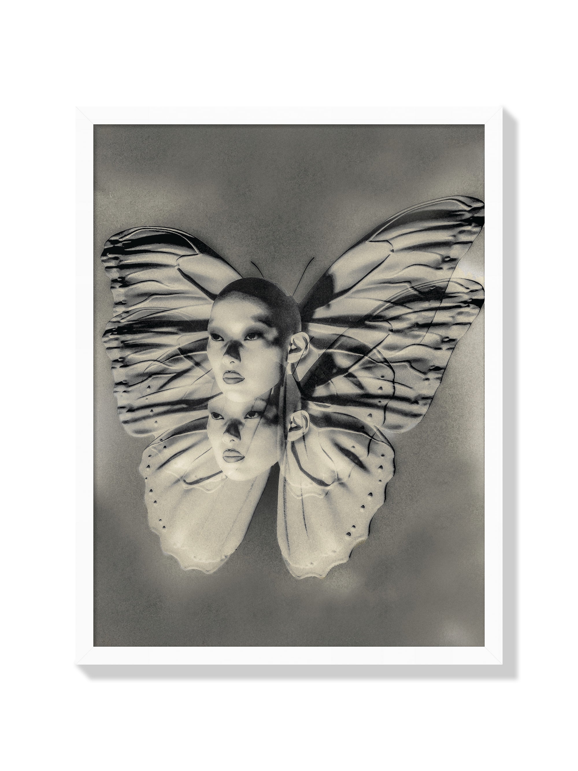 Metamorphosis Phase II - Denisa Rahma - White Frame |frame=White Frame|