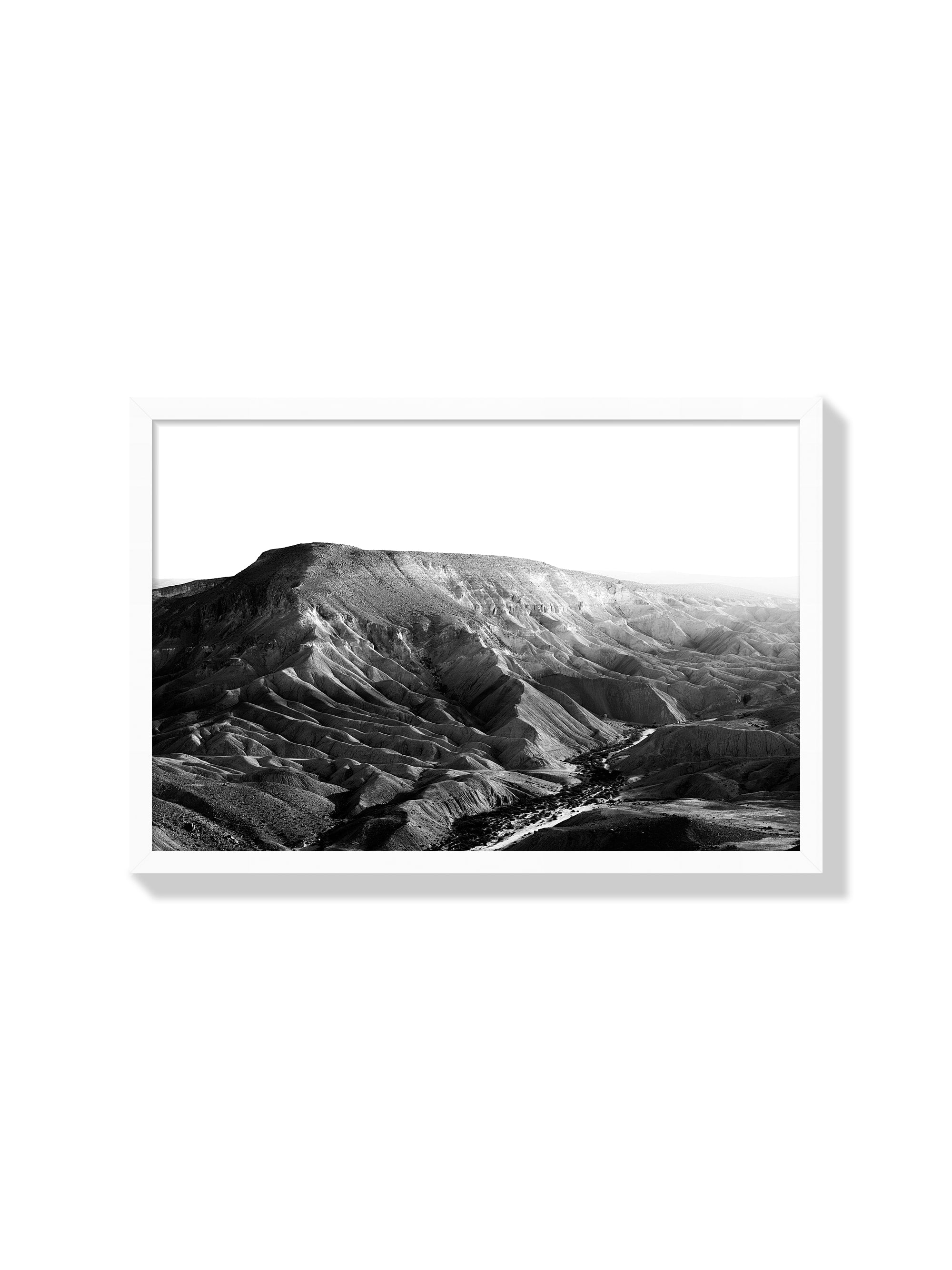 Nahal Zin - Tal Paz-Fridman - White Frame |frame=White Frame|