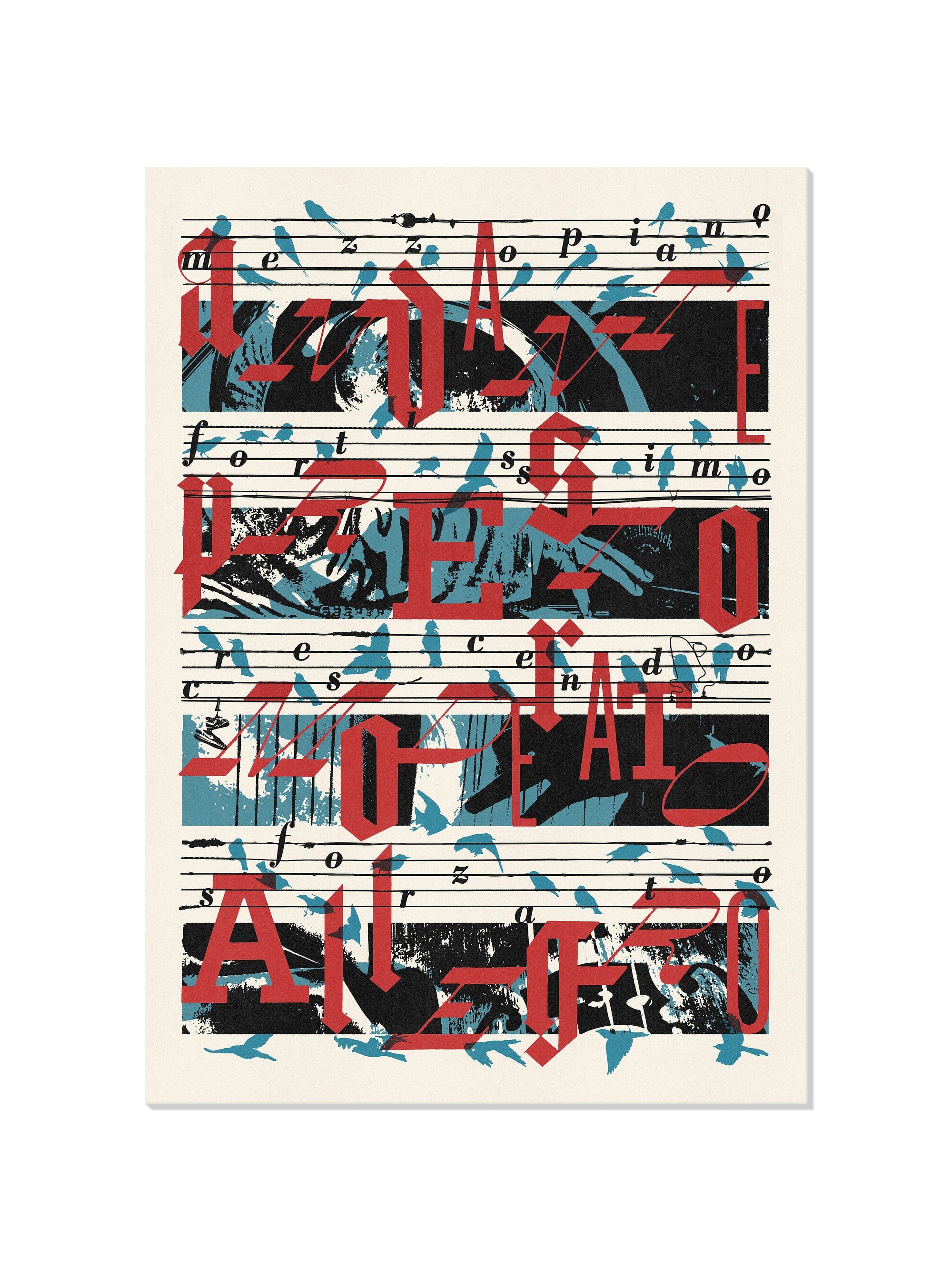 Birdsongs - Mateus Teixeira - Unframed |frame=Unframed|