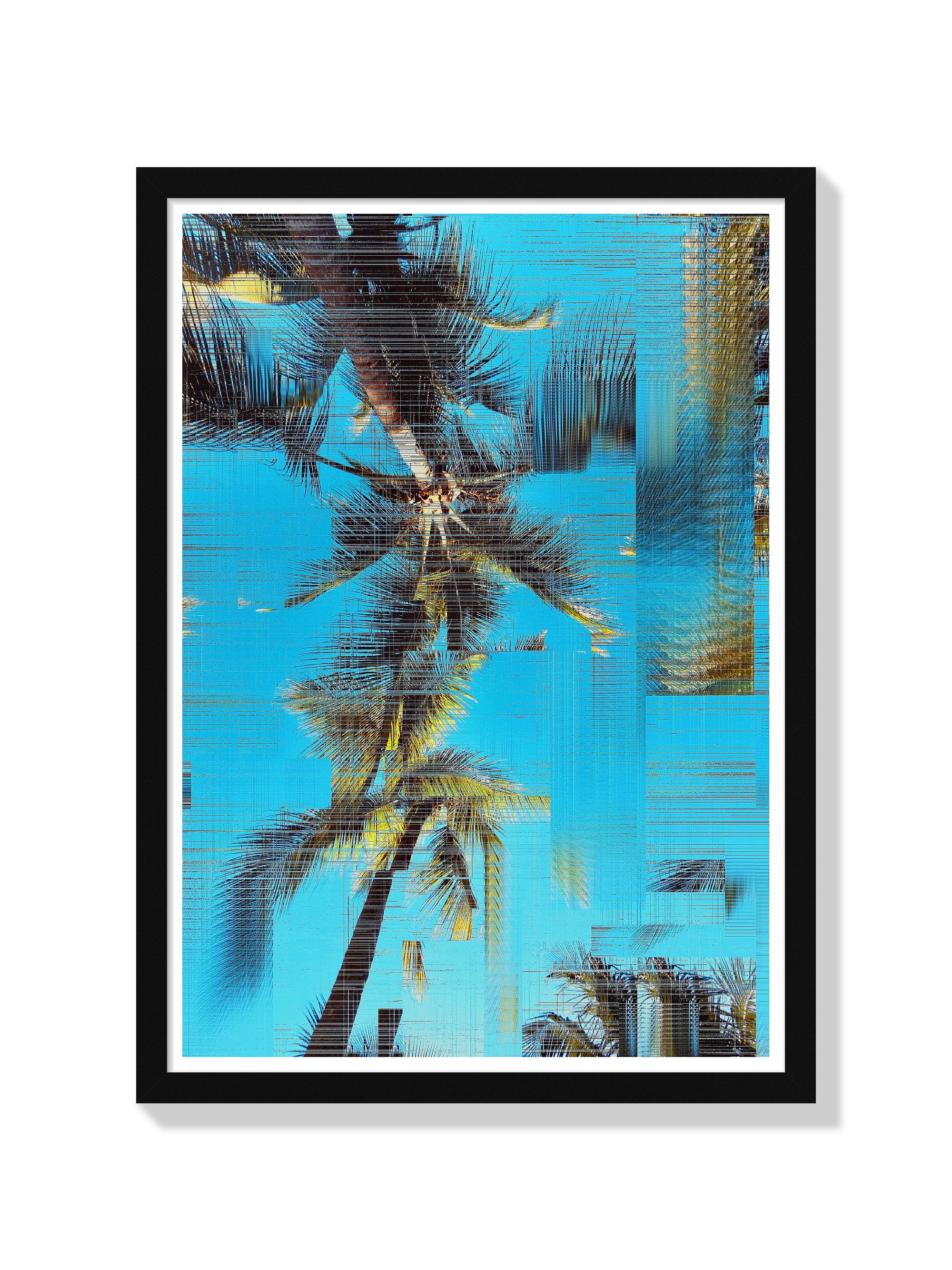 Arecaceae | Glitch 26.426 - Aaron Borchardt - Black Frame |frame=Black Frame|