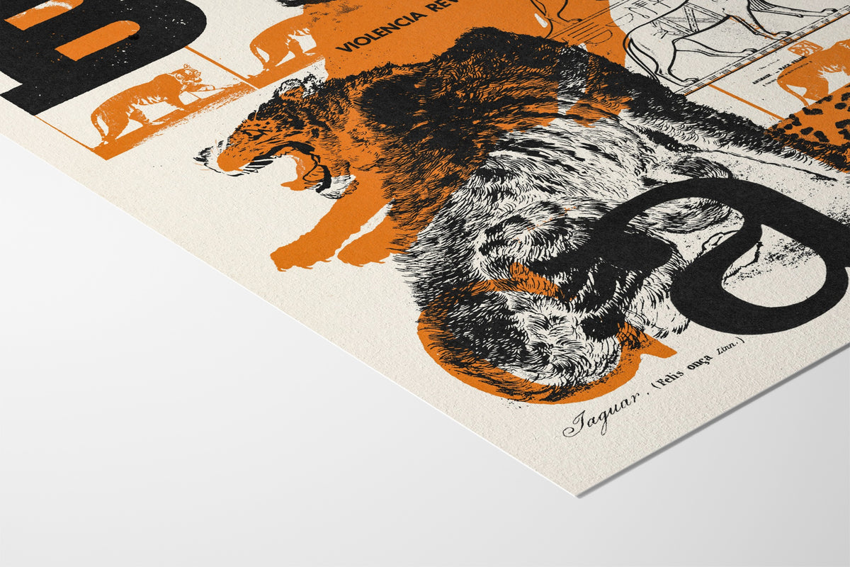 Bad Cat - Mateus Teixeira - Hahnemuhle German Etching 310gsm |type=paper|
