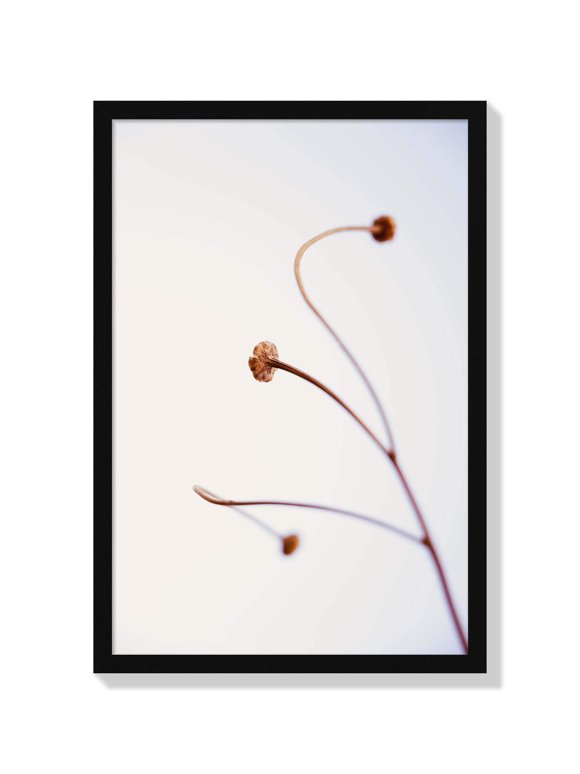 In light of current events VIII - Tal Paz-Fridman - Black Frame |frame=Black Frame|