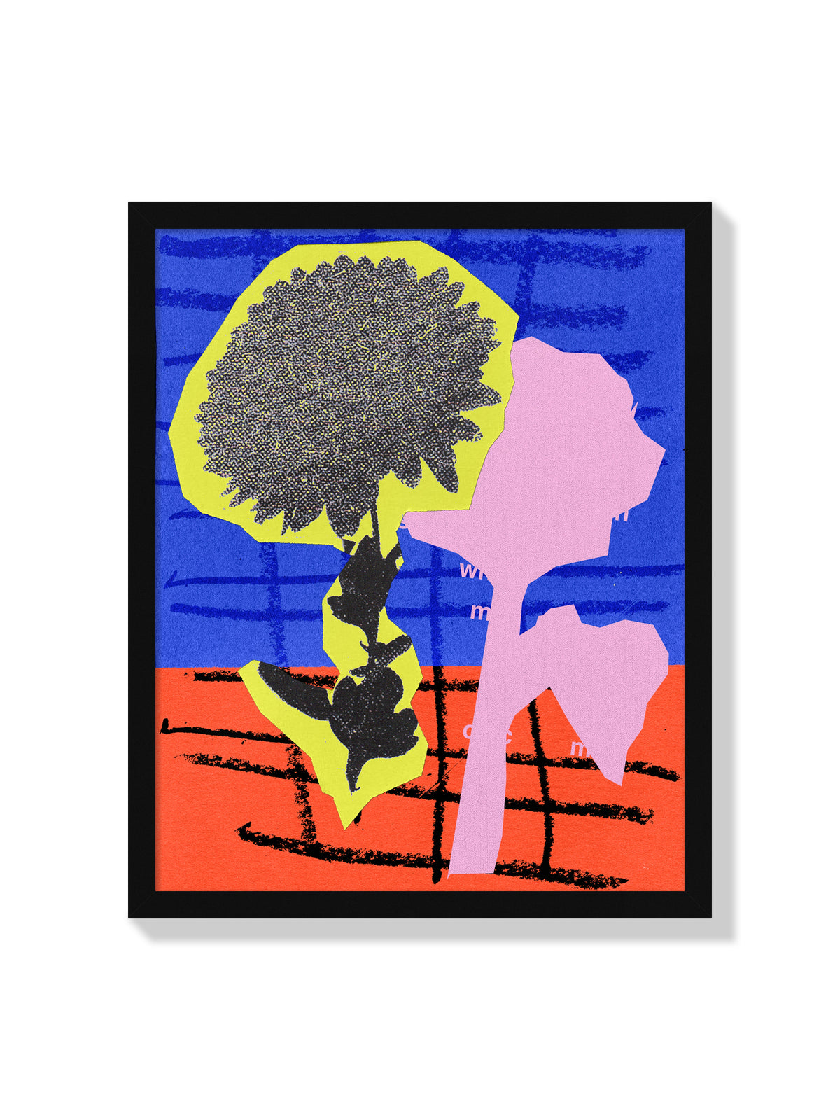 Chrysanthemum Flower - Sian Roper - Black Frame |frame=Black Frame|