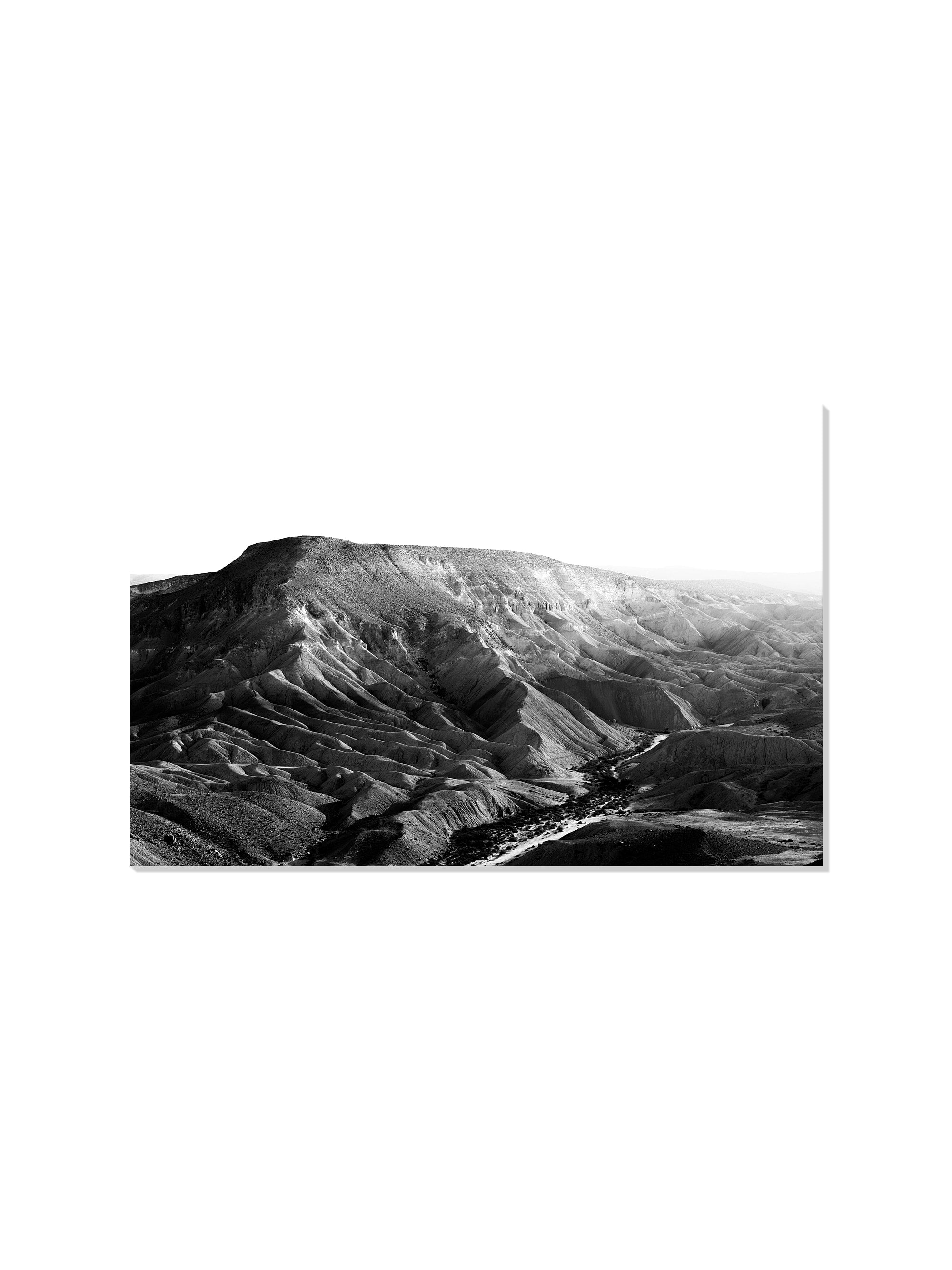 Nahal Zin - Tal Paz-Fridman - Unframed |frame=Unframed|