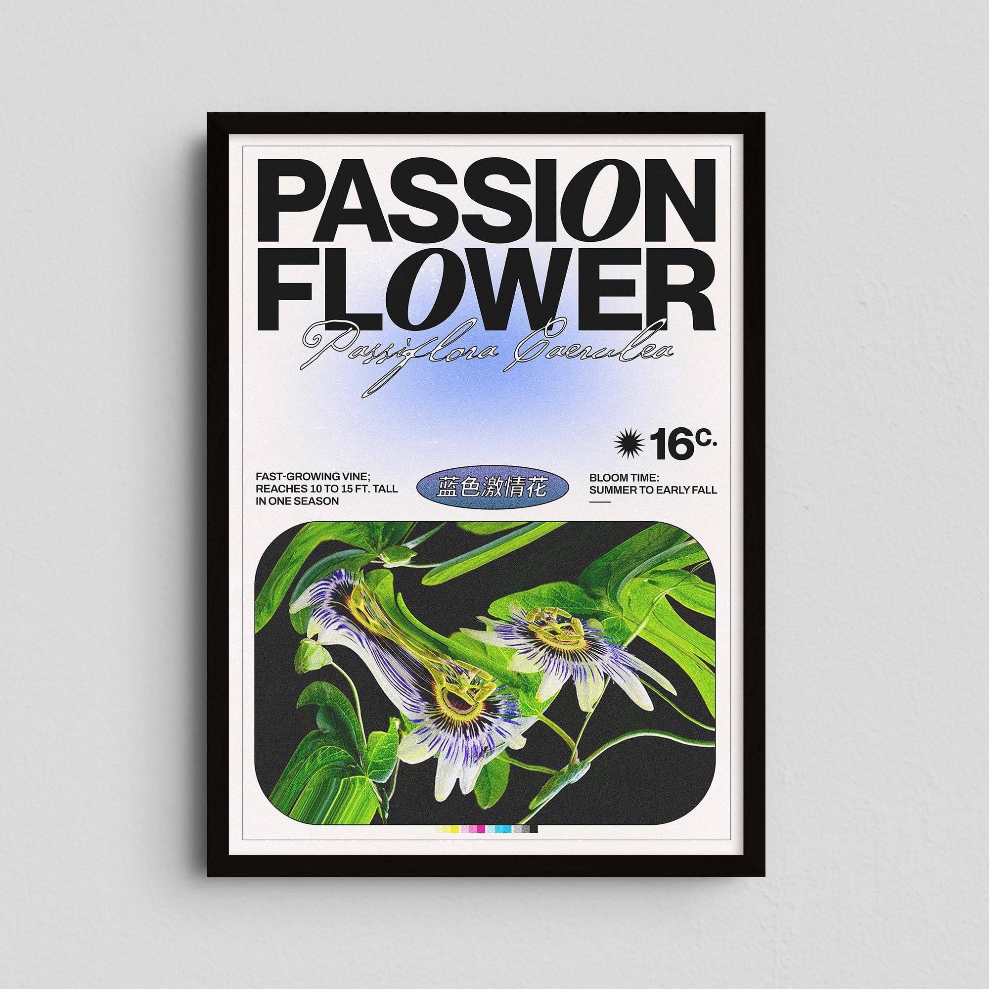 Passion Flower - Epi.to.me