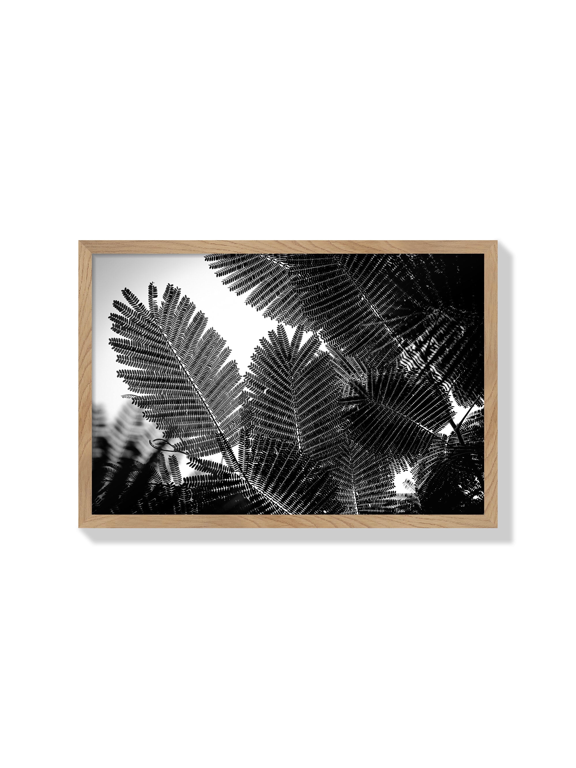 Natural Geometries I - Tal Paz-Fridman - Natural Frame |frame=Natural Frame|