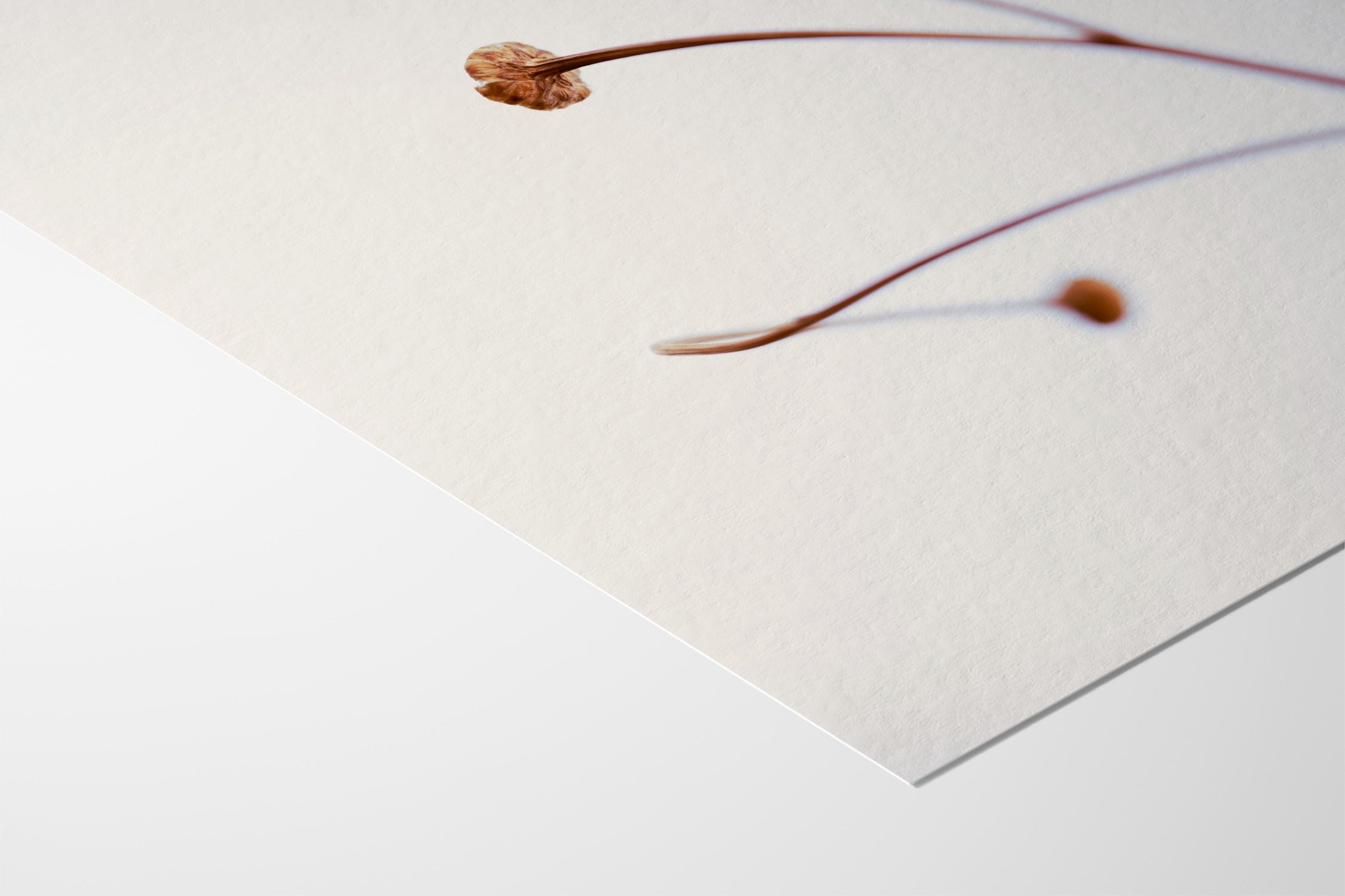 In light of current events VIII - Tal Paz-Fridman - Fine Art Paper 200gsm |type=lifestyle|
