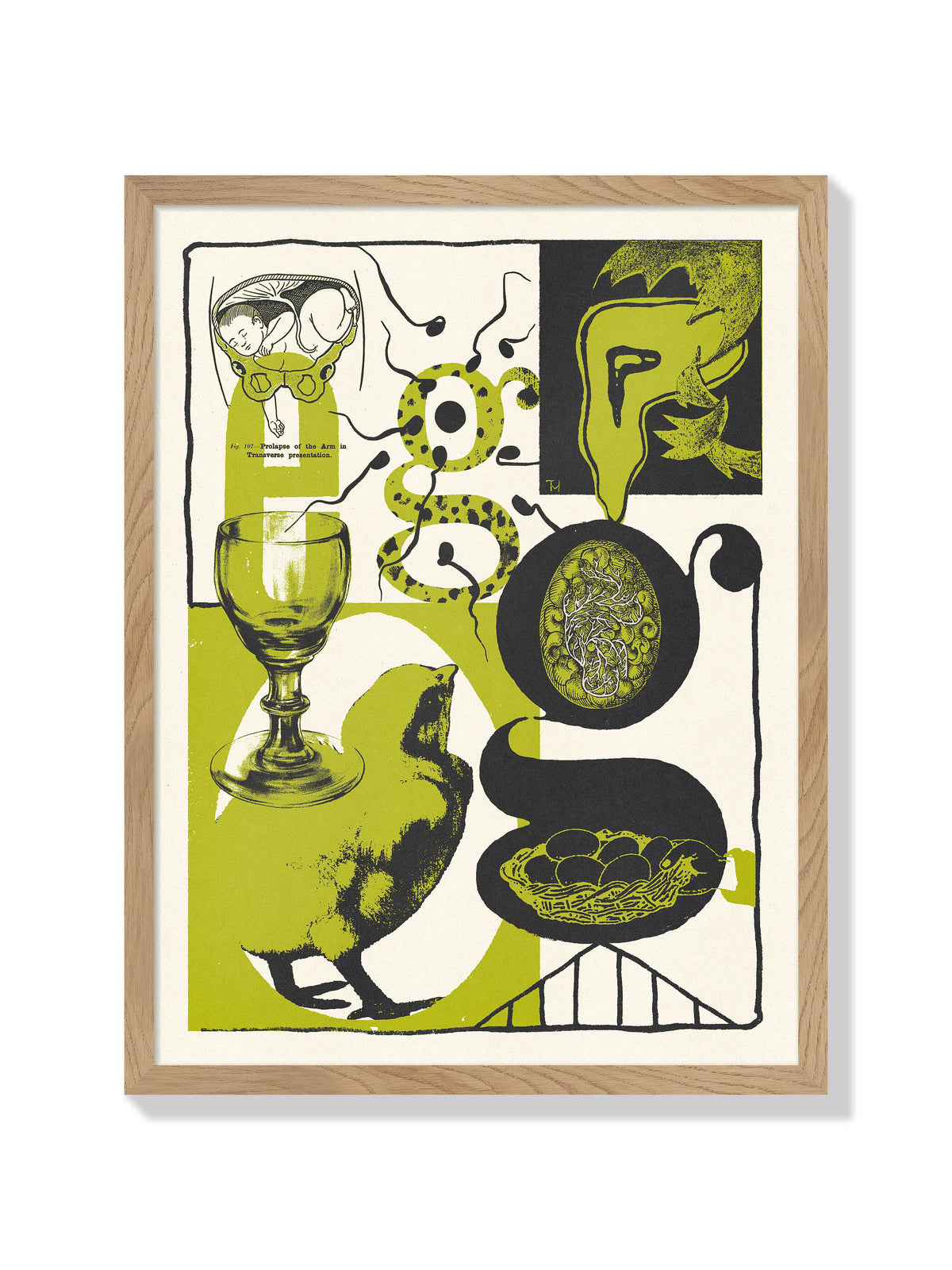 Egg - Mateus Teixeira - Natural Frame |frame=Natural Frame|