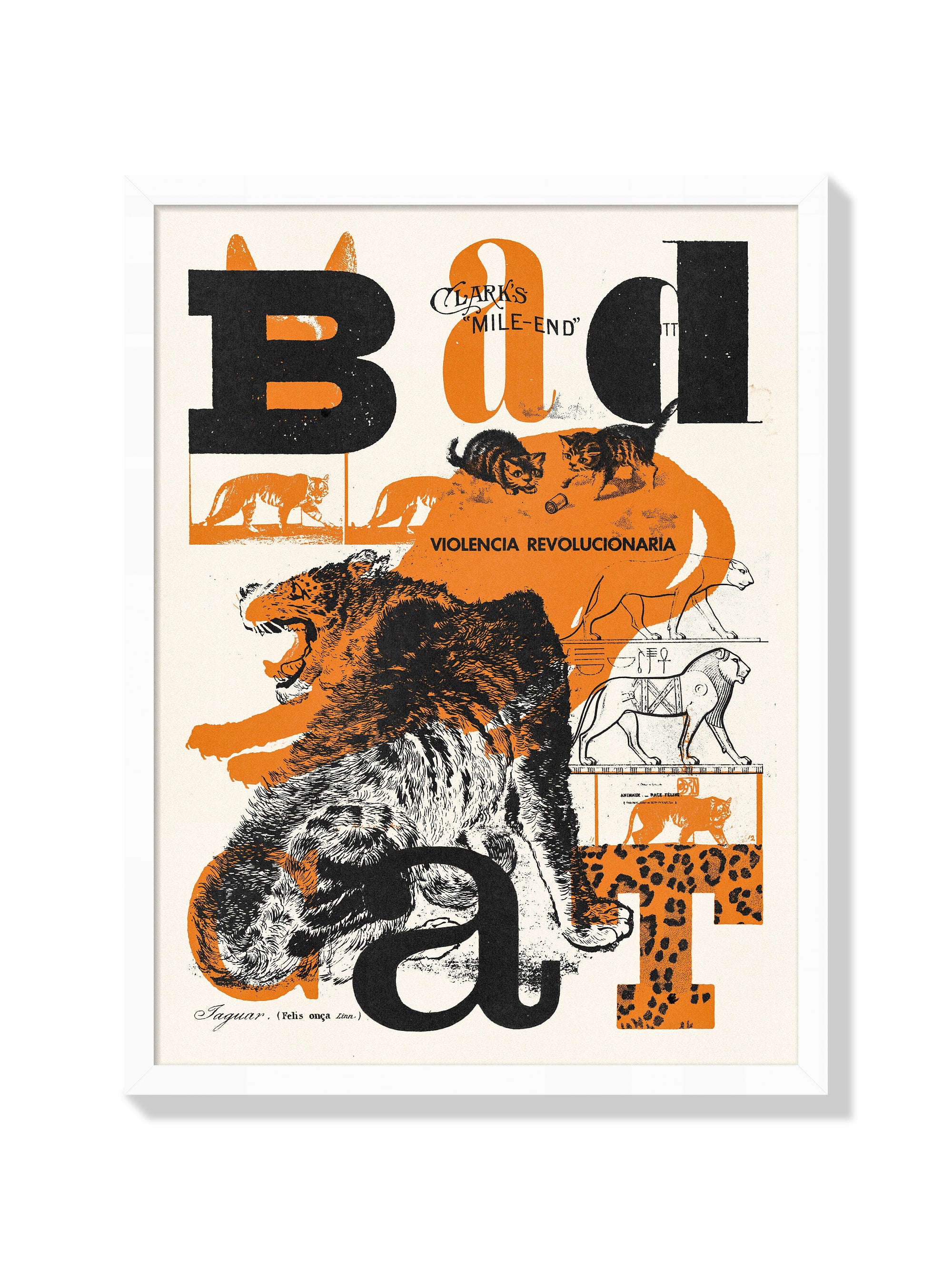 Bad Cat - Mateus Teixeira - White Frame |frame=White Frame|