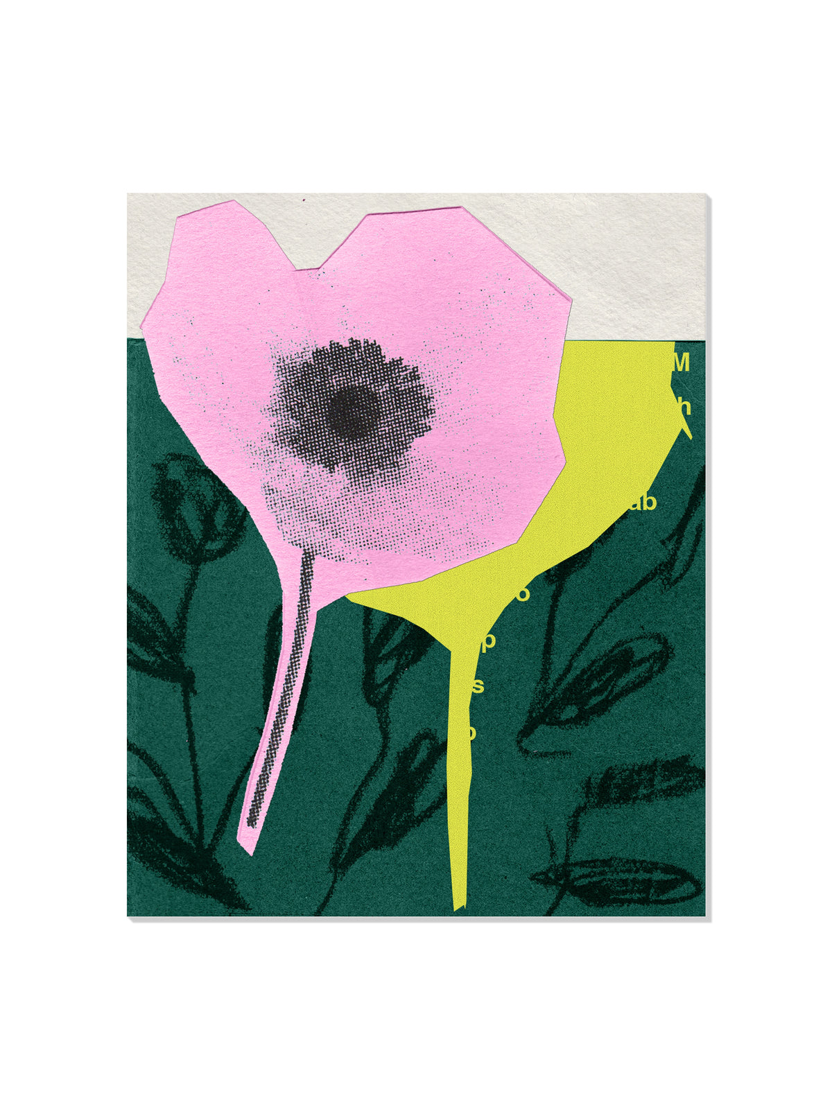 Anemone Flower - Sian Roper - Unframed |frame=Unframed|