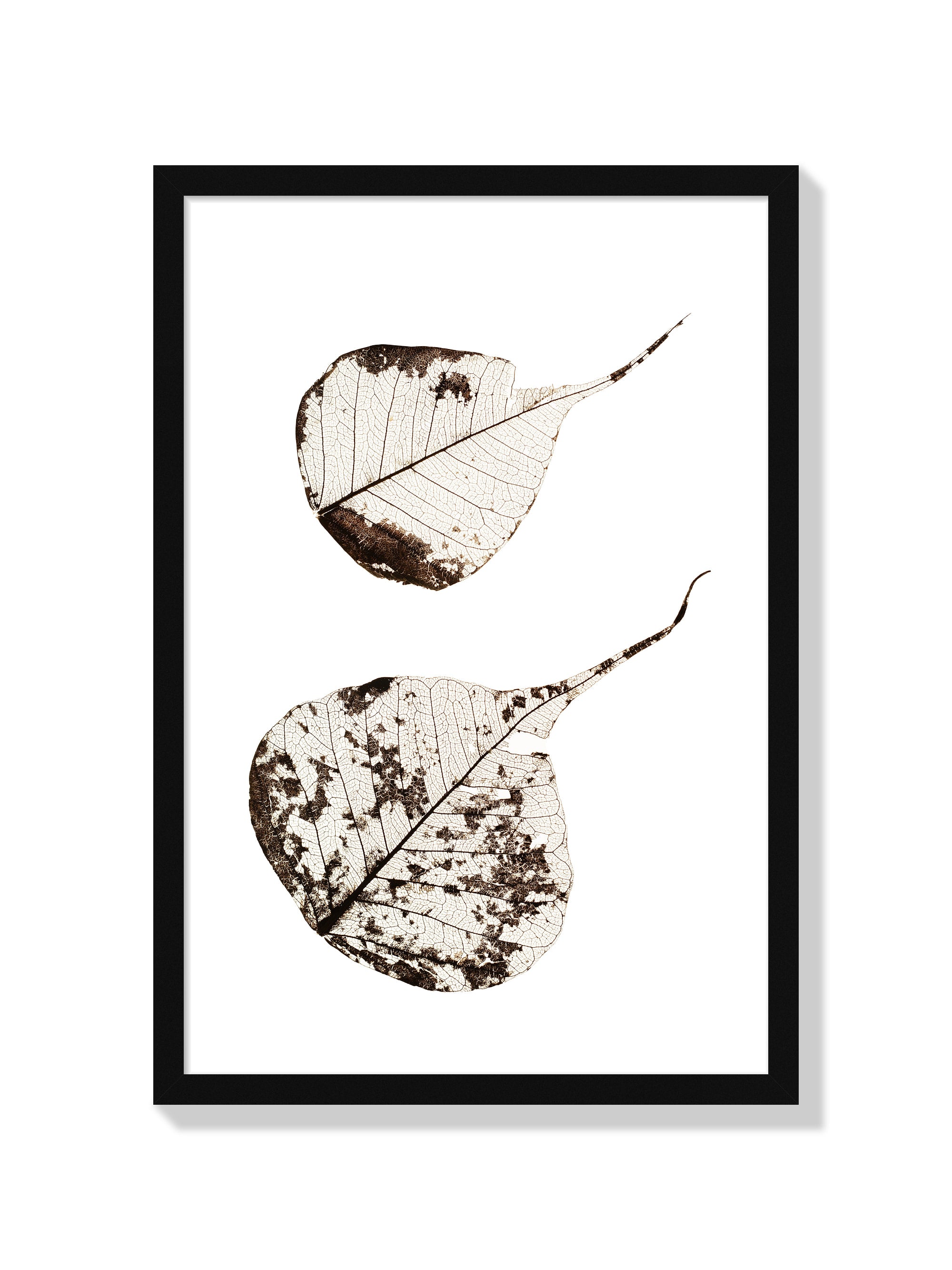 Fallen Leaves #2 - Tal Paz-Fridman - Black Frame |frame=Black Frame|
