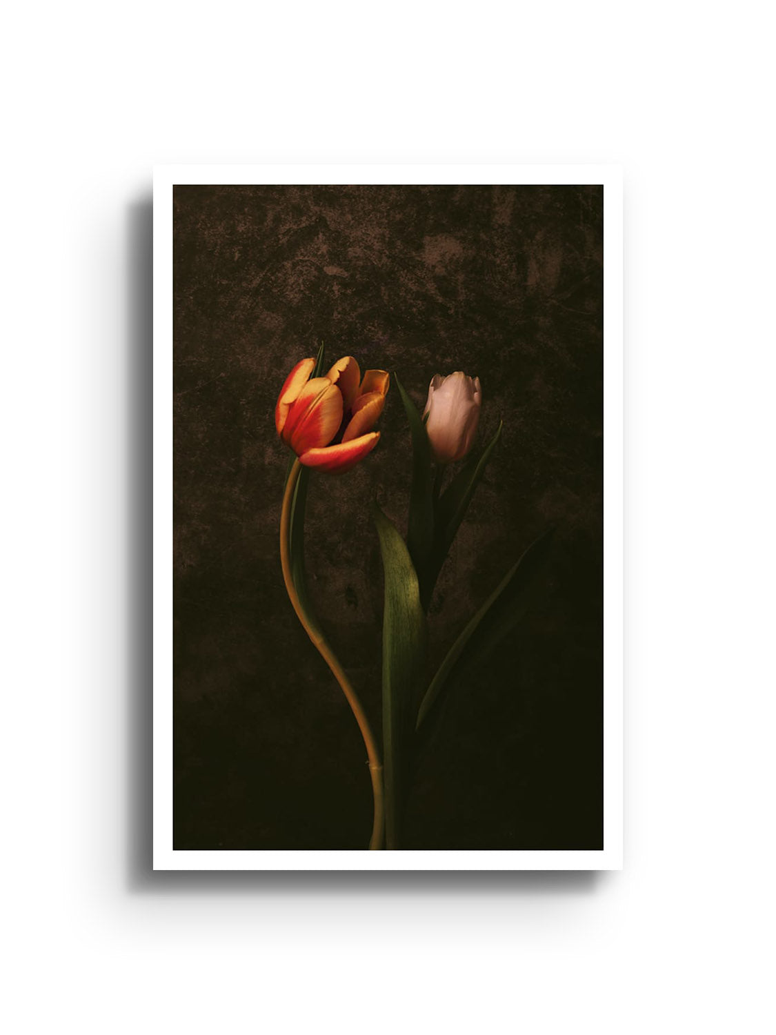 Fine art print of "The Dance" by Will Arden displayed as unframed print, showcasing vivid colors and dynamic composition. |frame=Unframed|