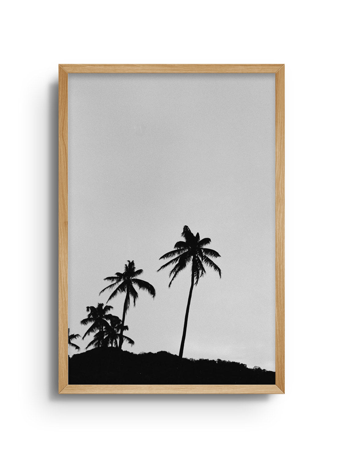 Fine art print "Los Palmas" by Adam Sherrett in Natural Frame. |frame=Natural Frame|
