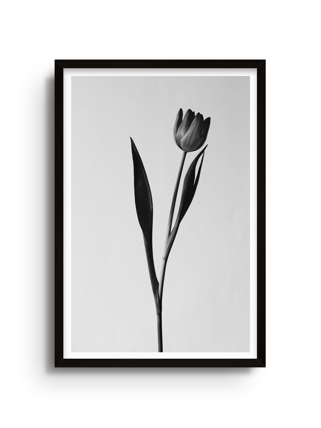"Balanced Form #3" fine art print by Will Arden in black frame. |frame=Black Frame|